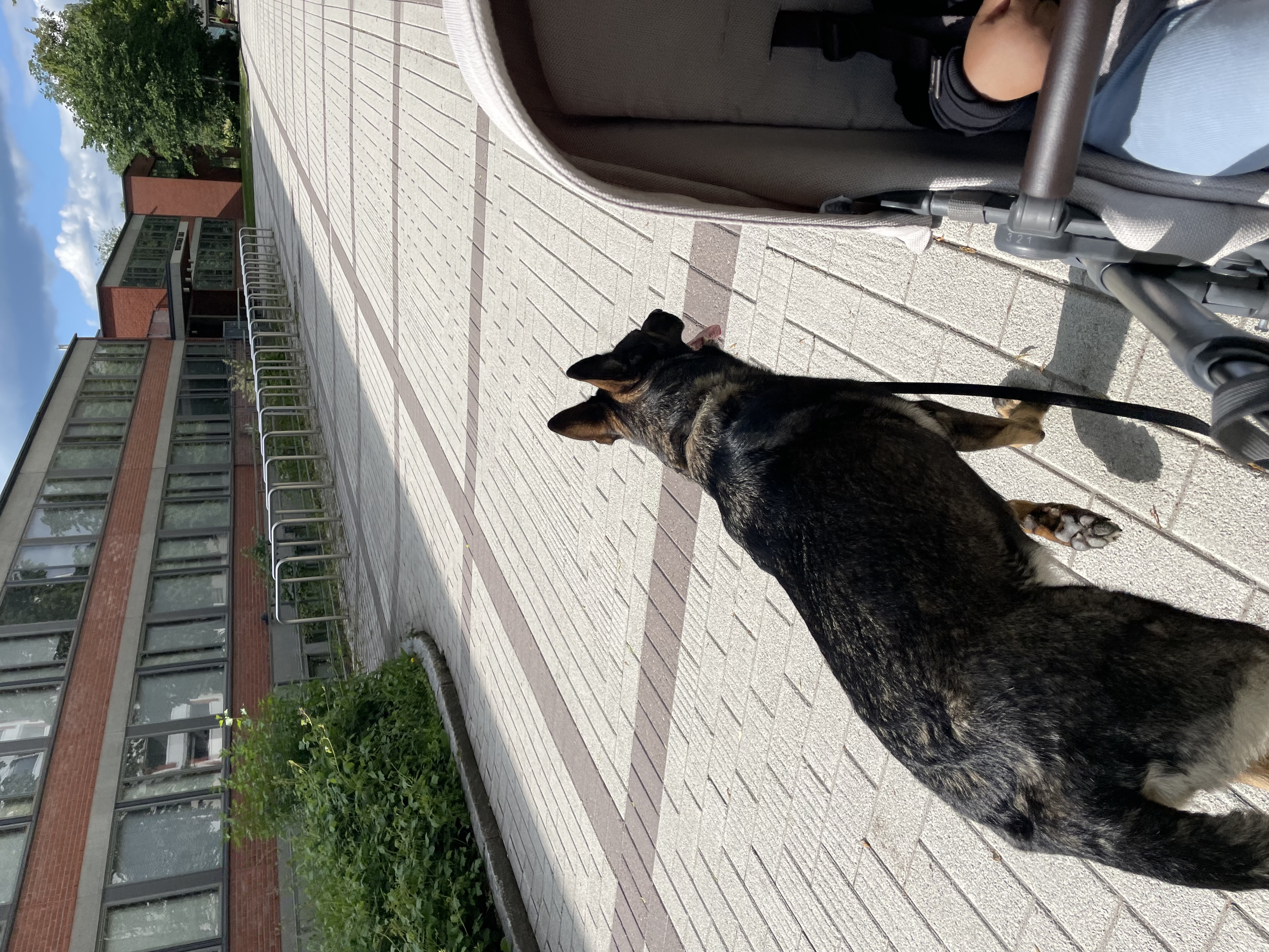 image-7