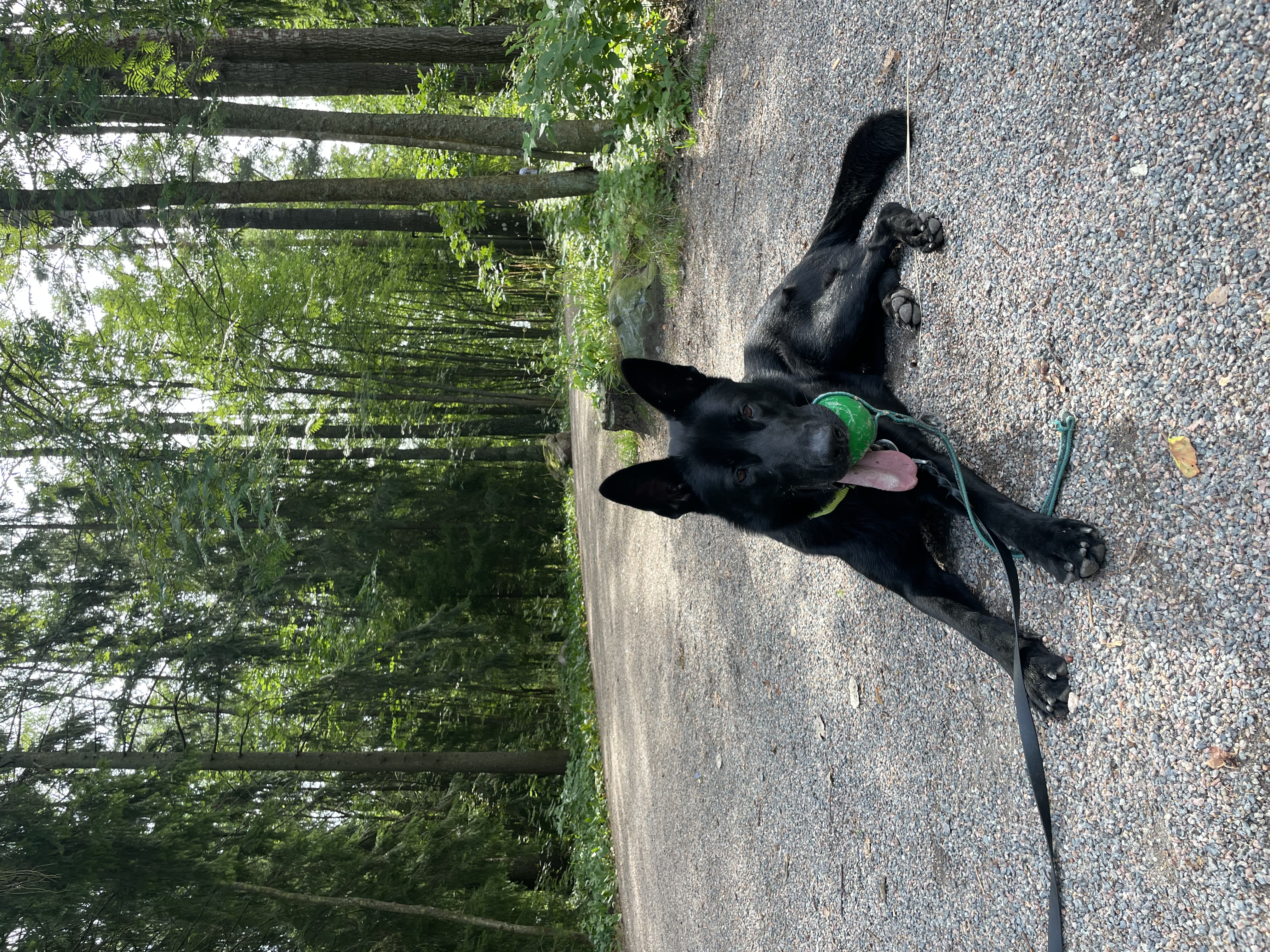 image-14
