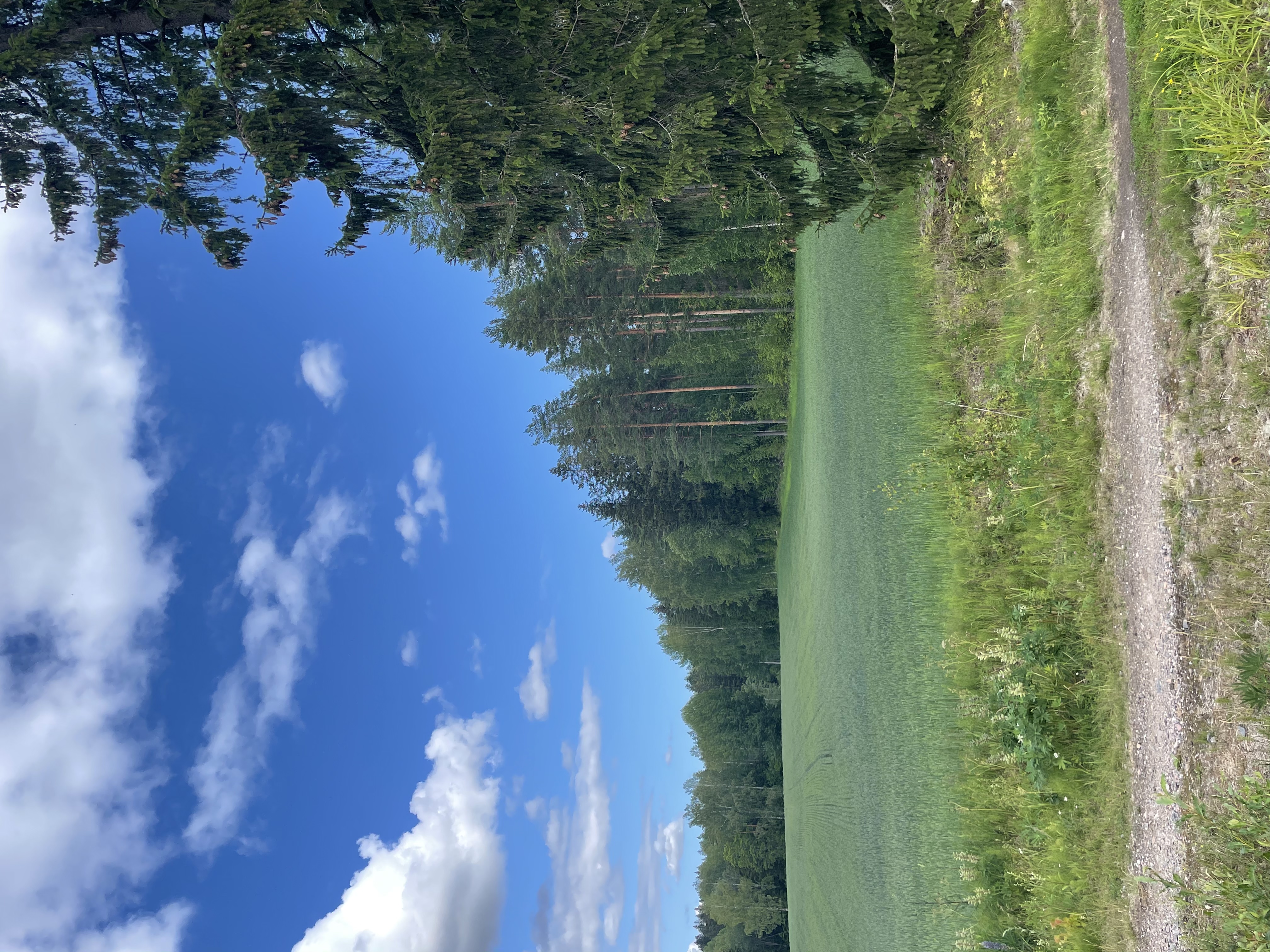 image-17