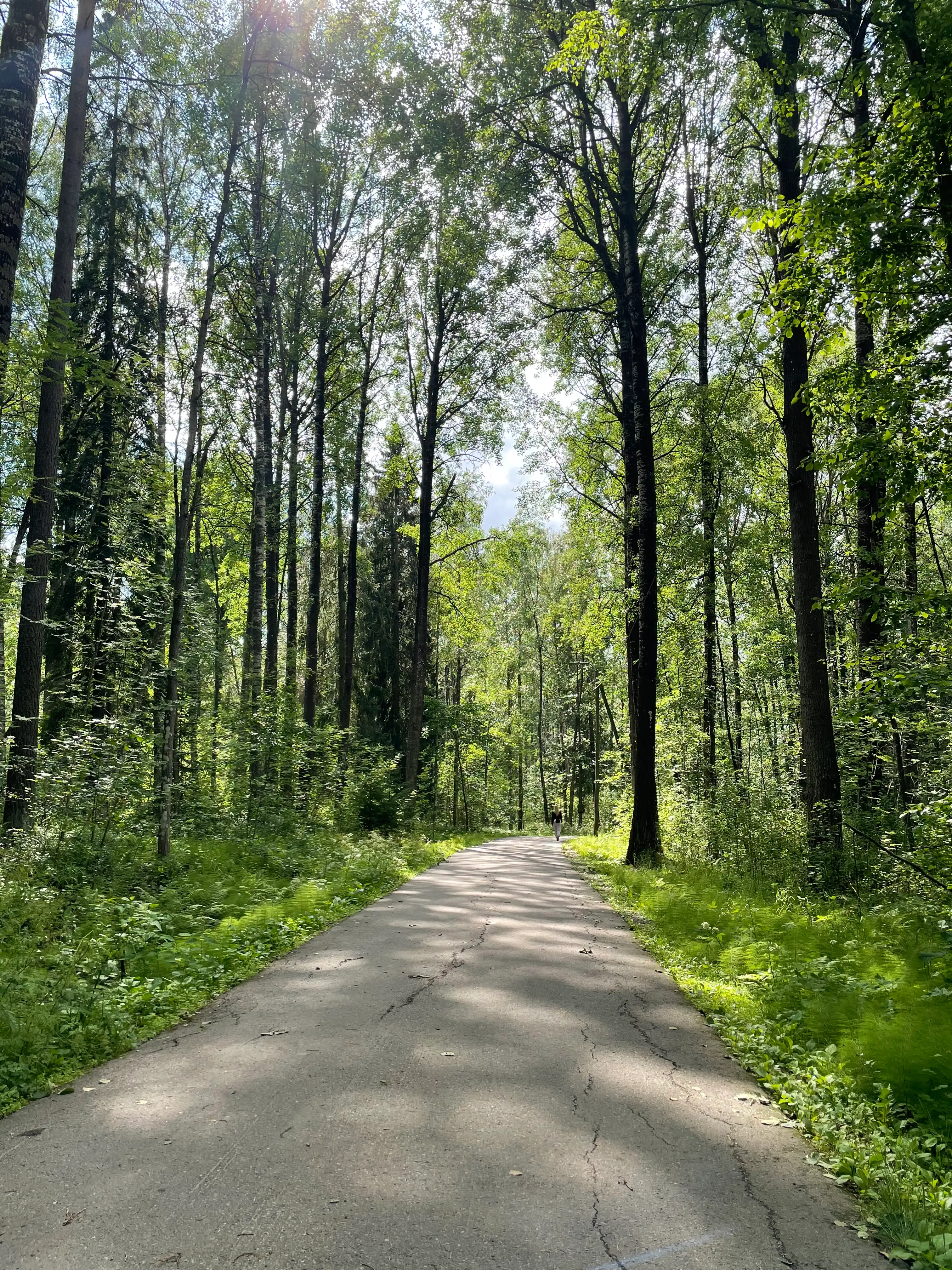 image-16