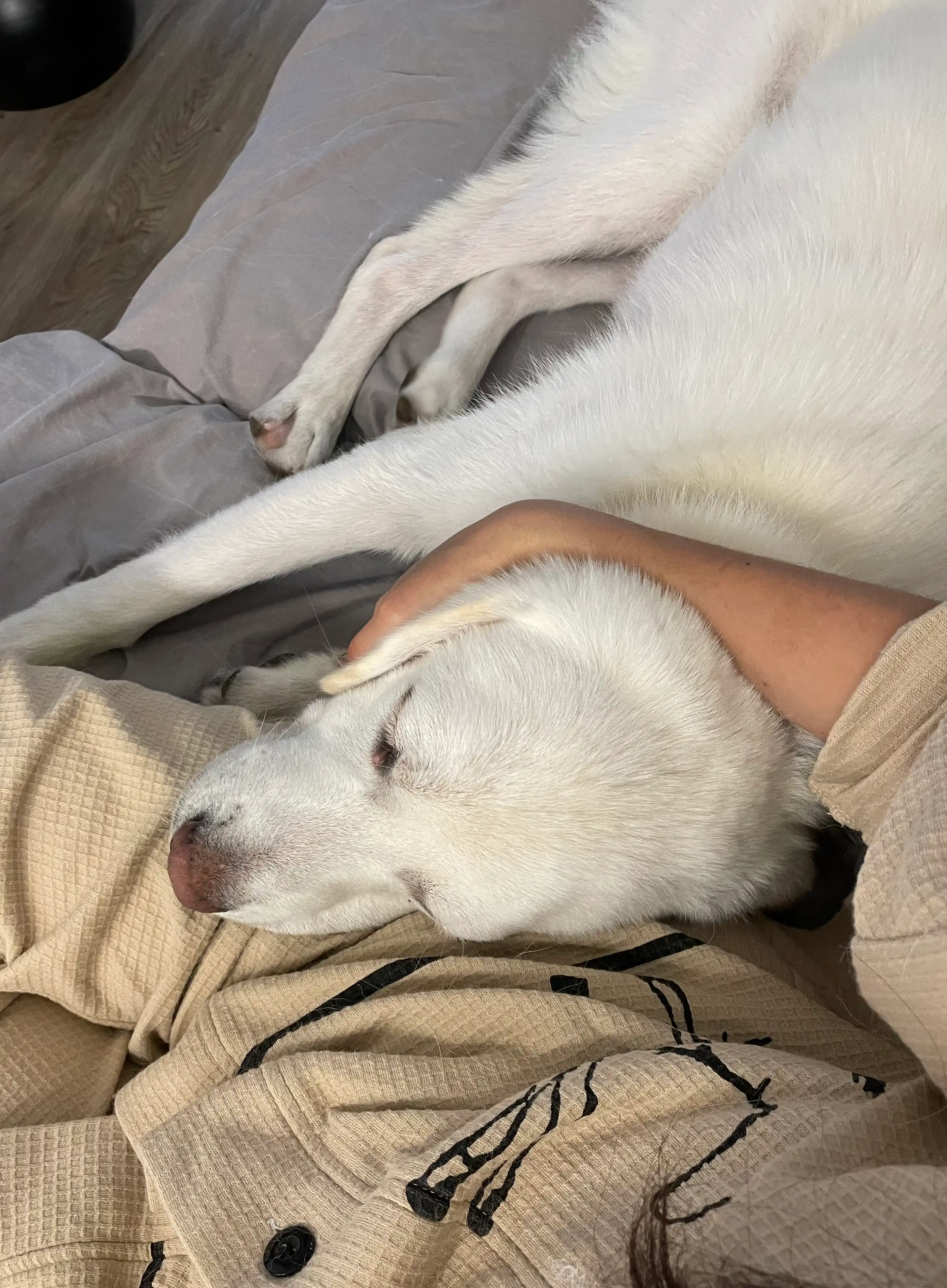 image-6