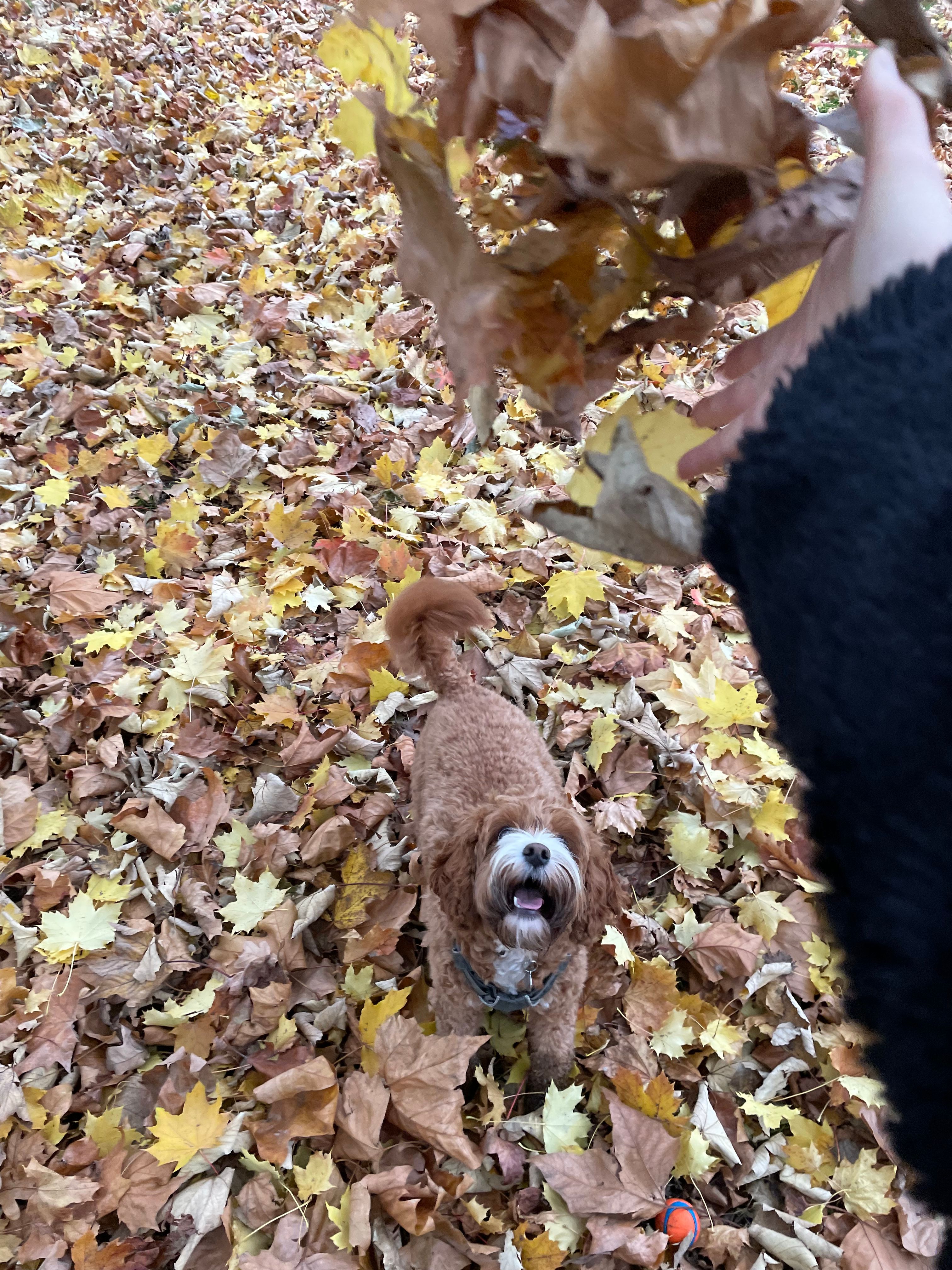 image-7
