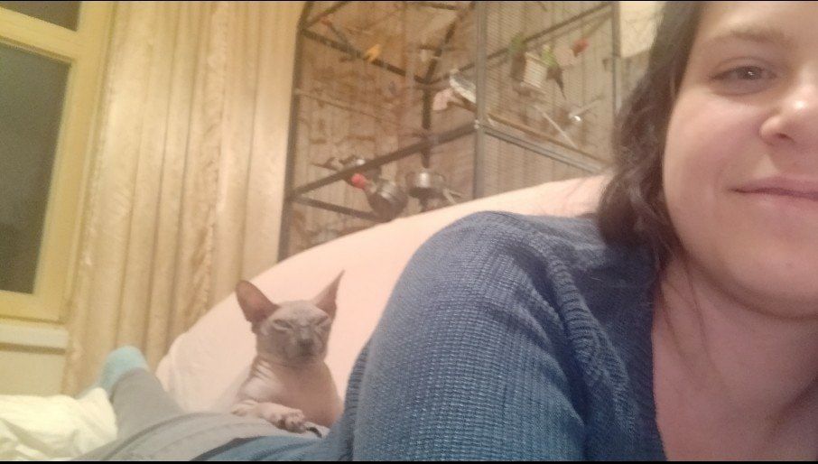 image-8
