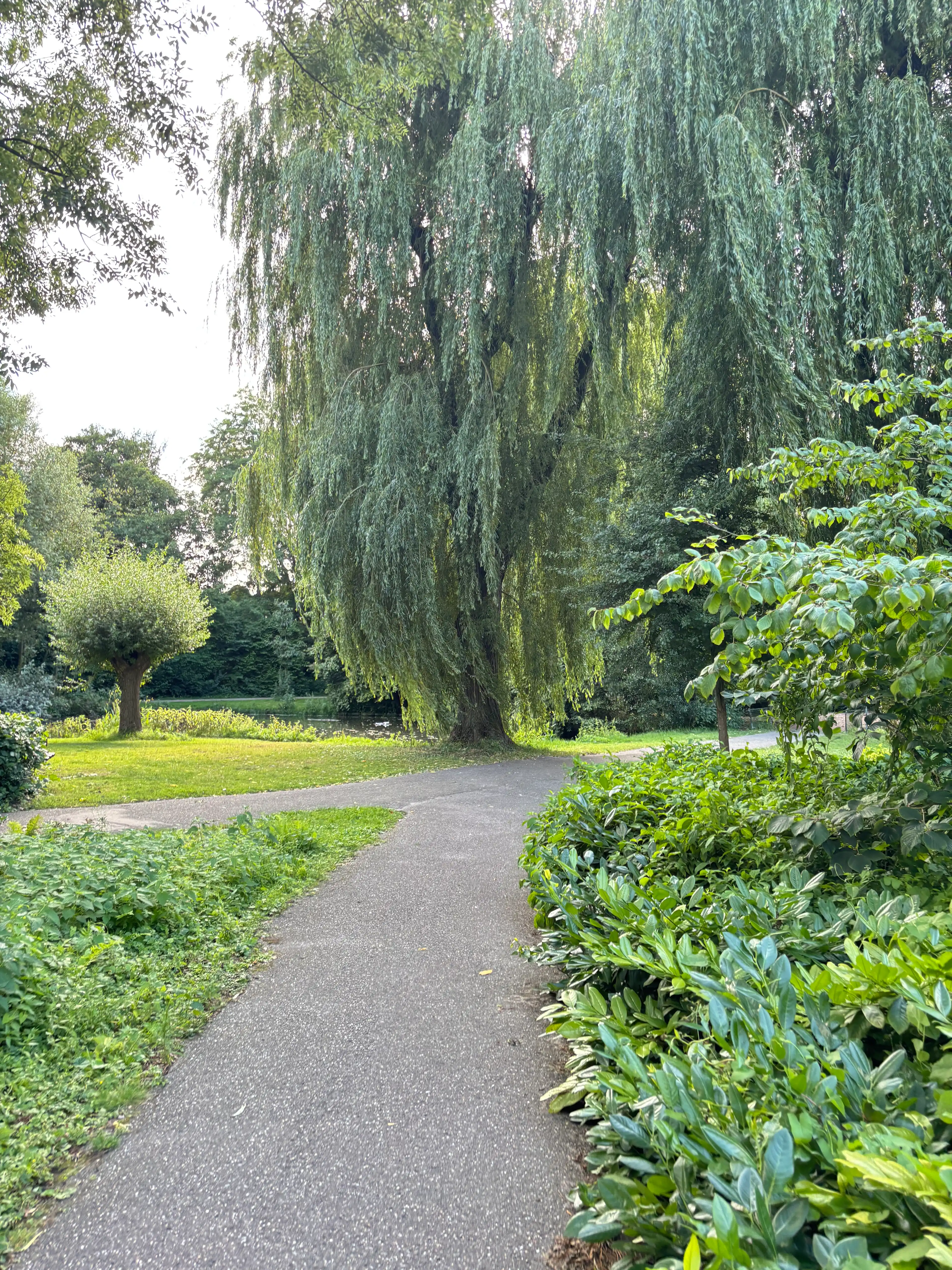 image-19
