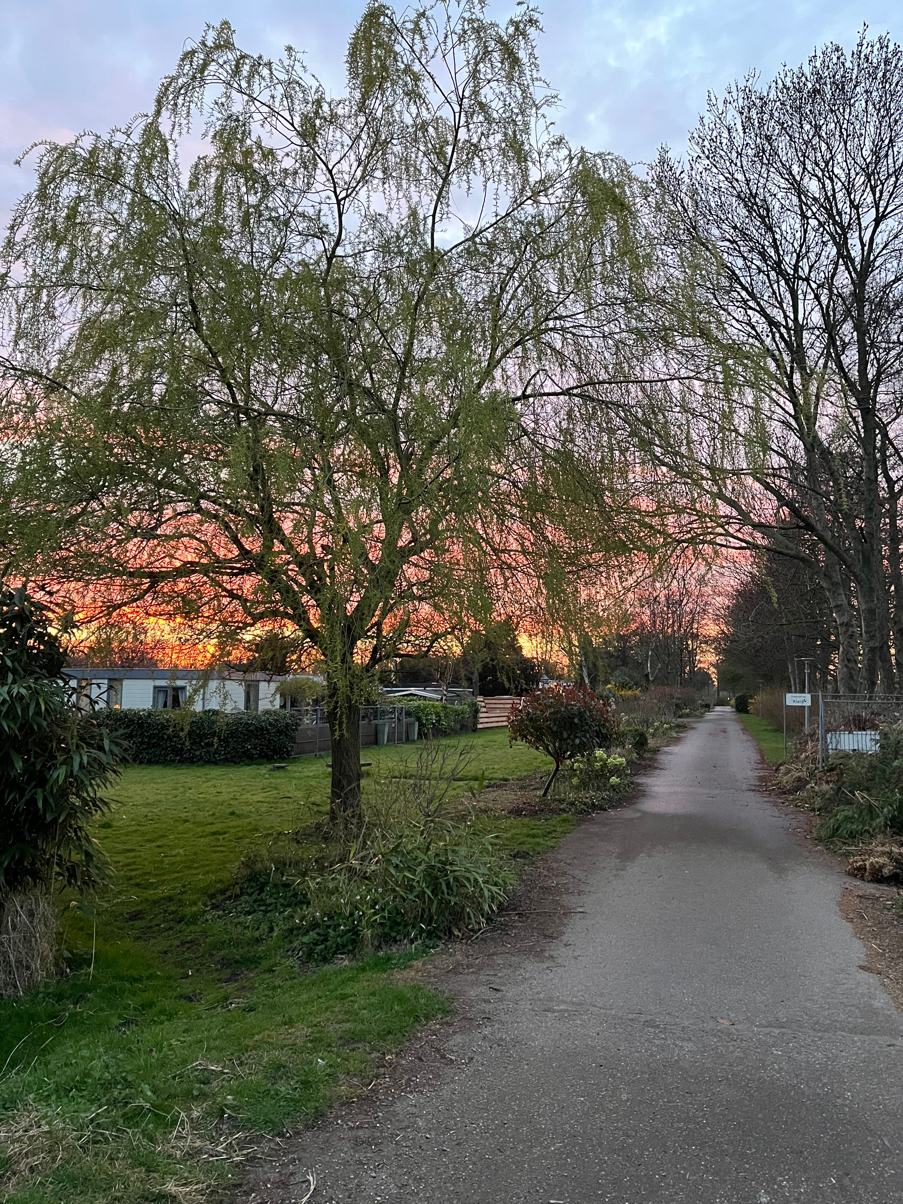 image-20