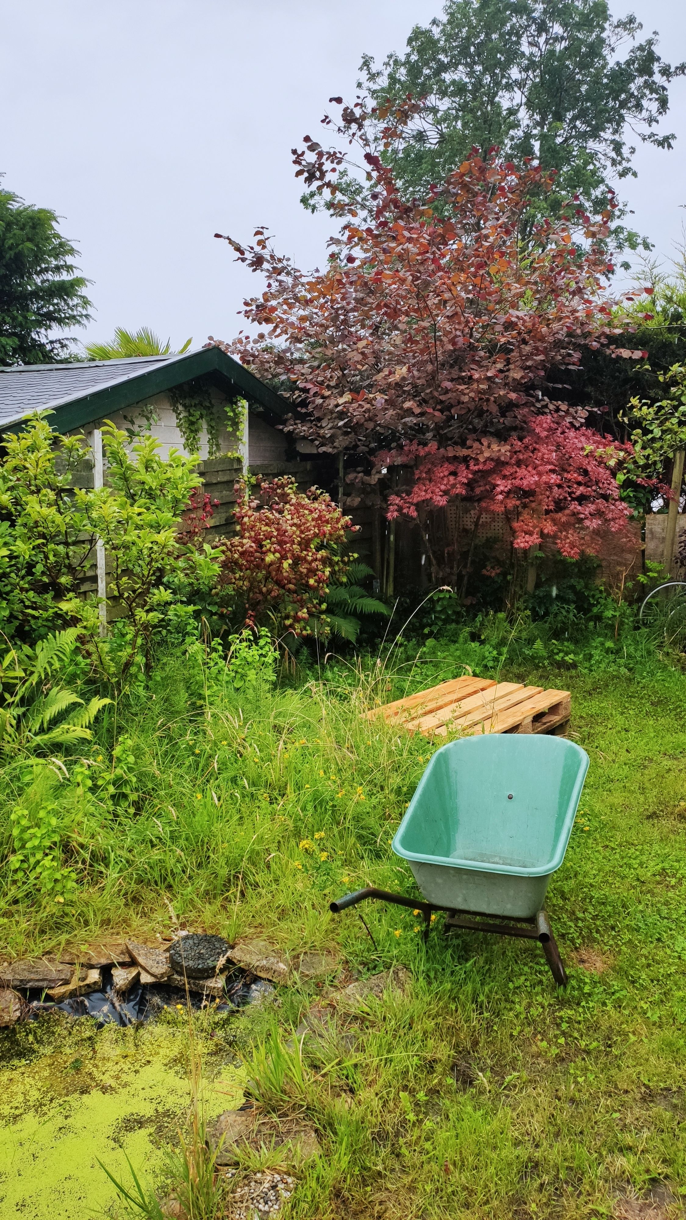 image-25