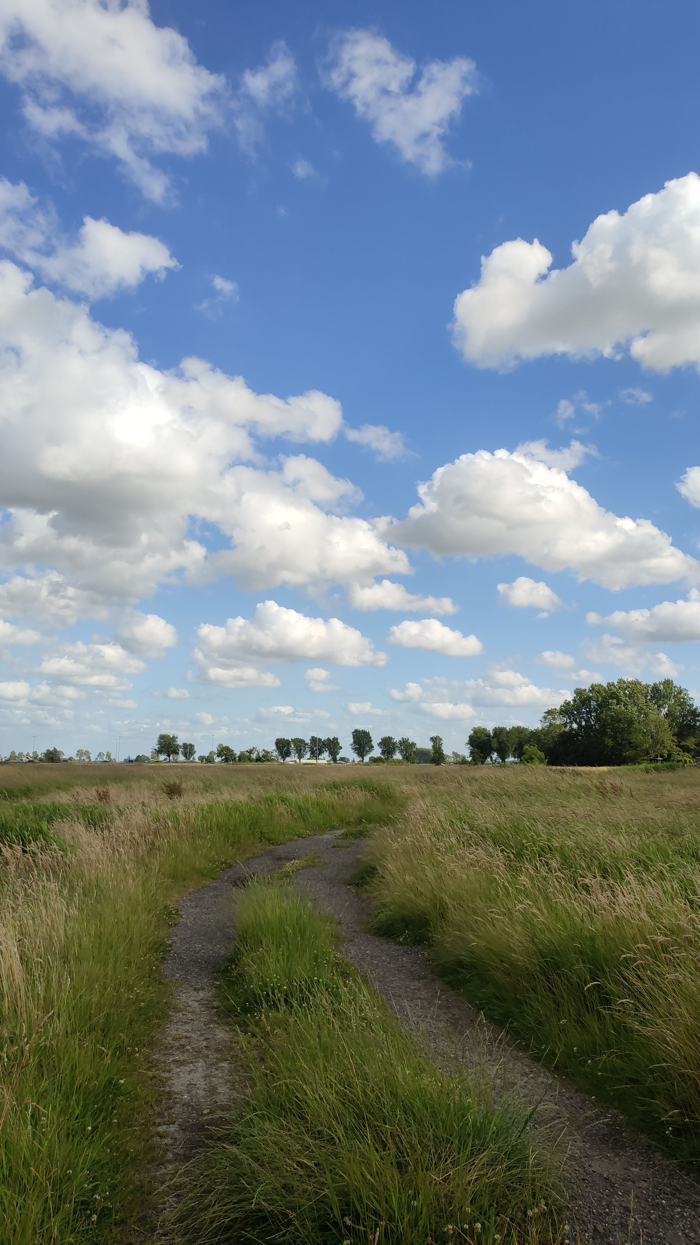 image-23