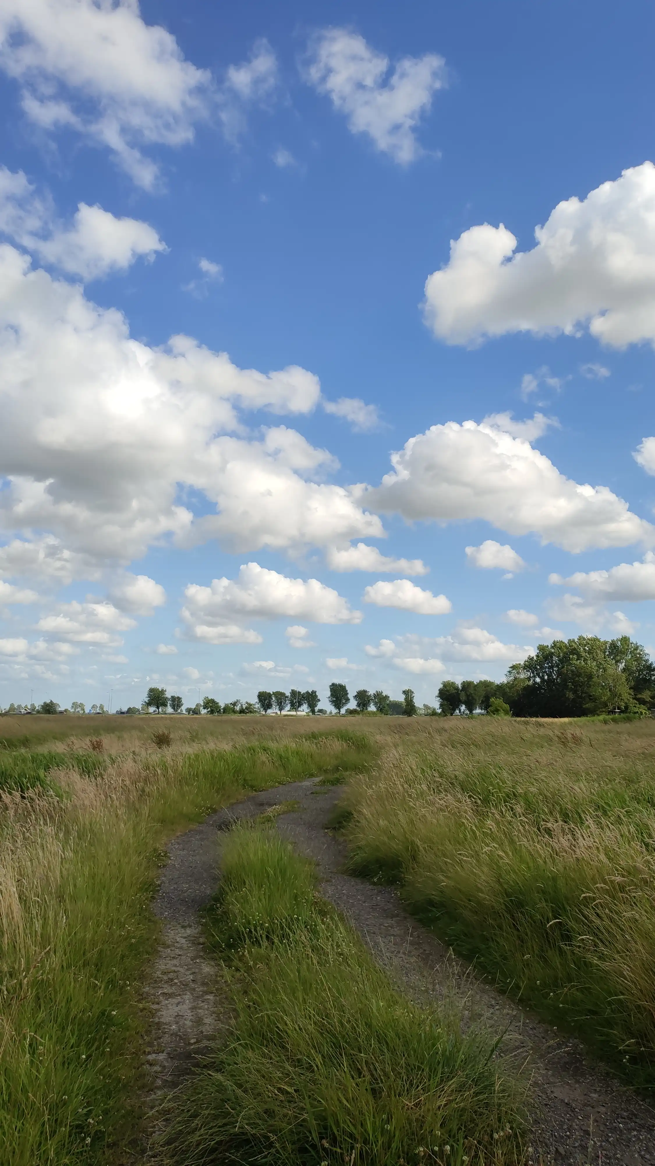 image-23