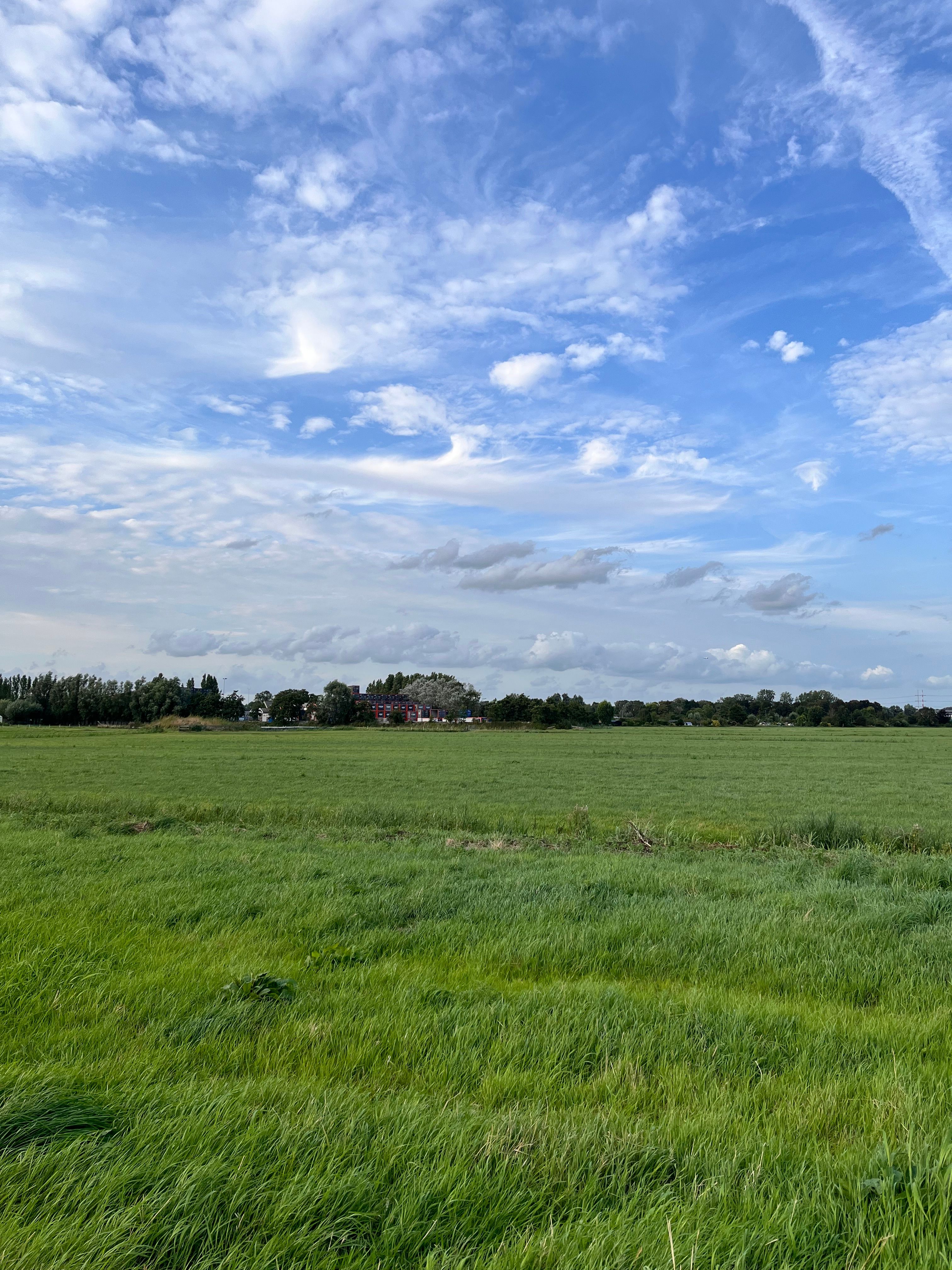 image-27