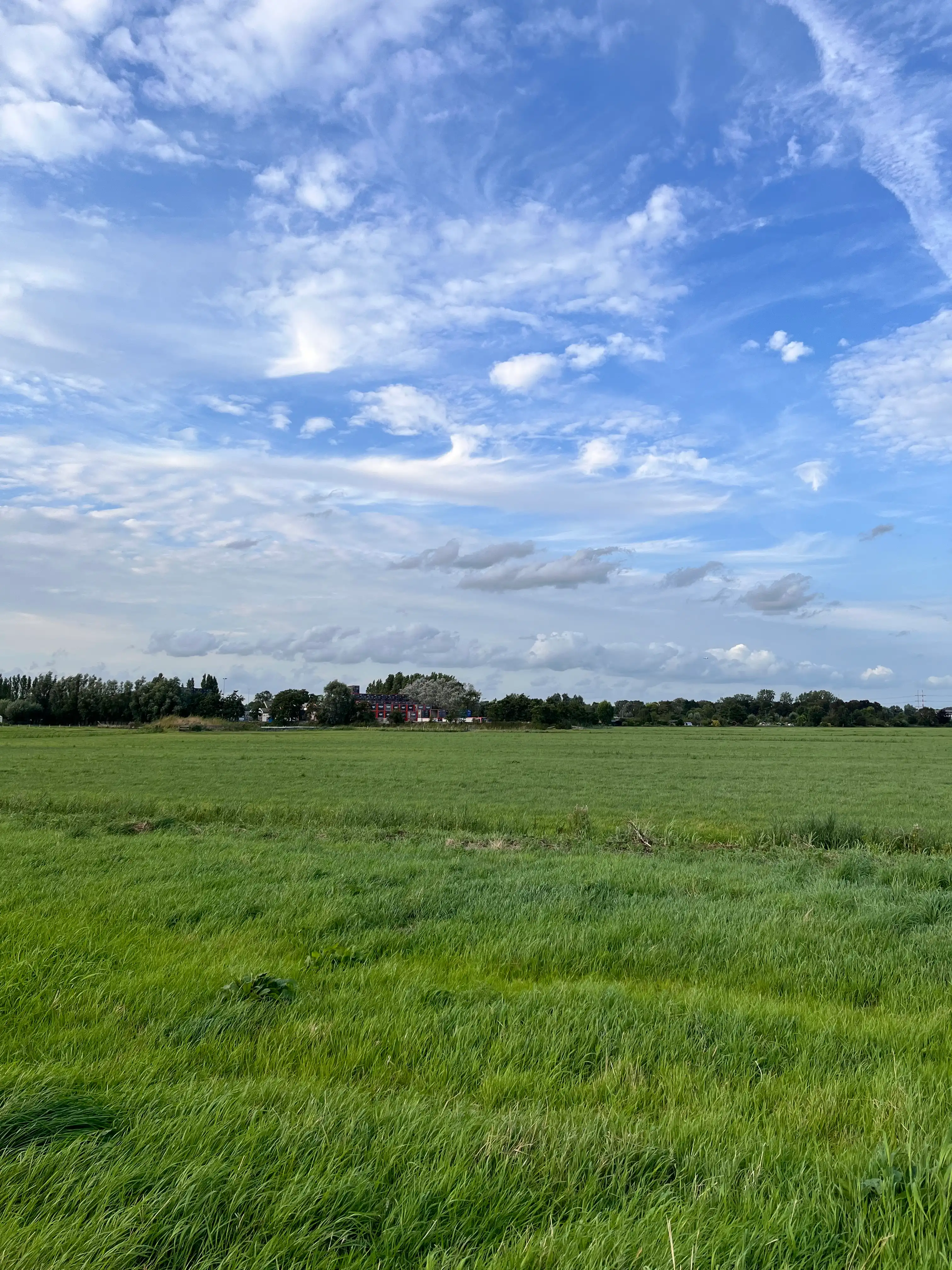image-27