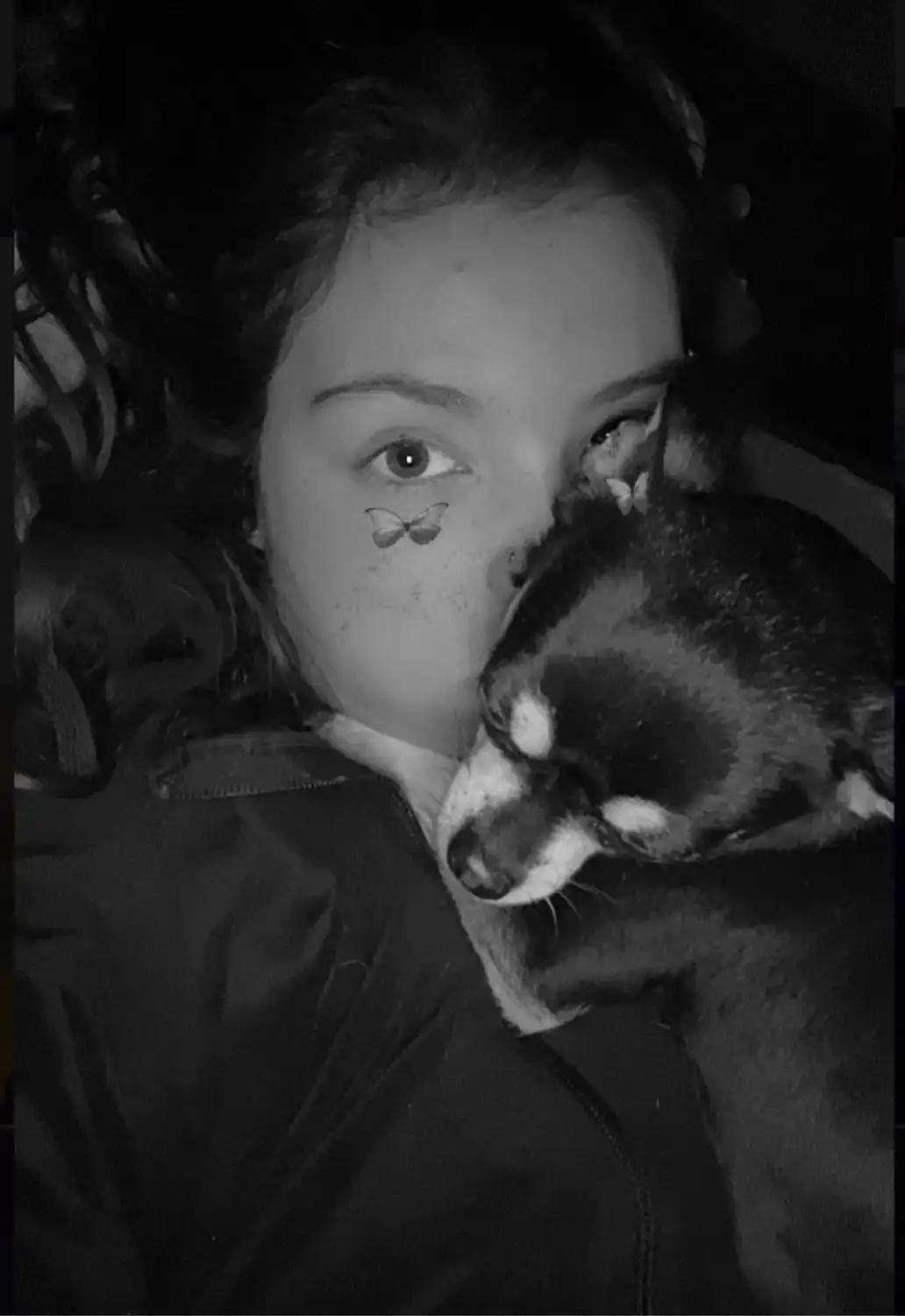 image-6