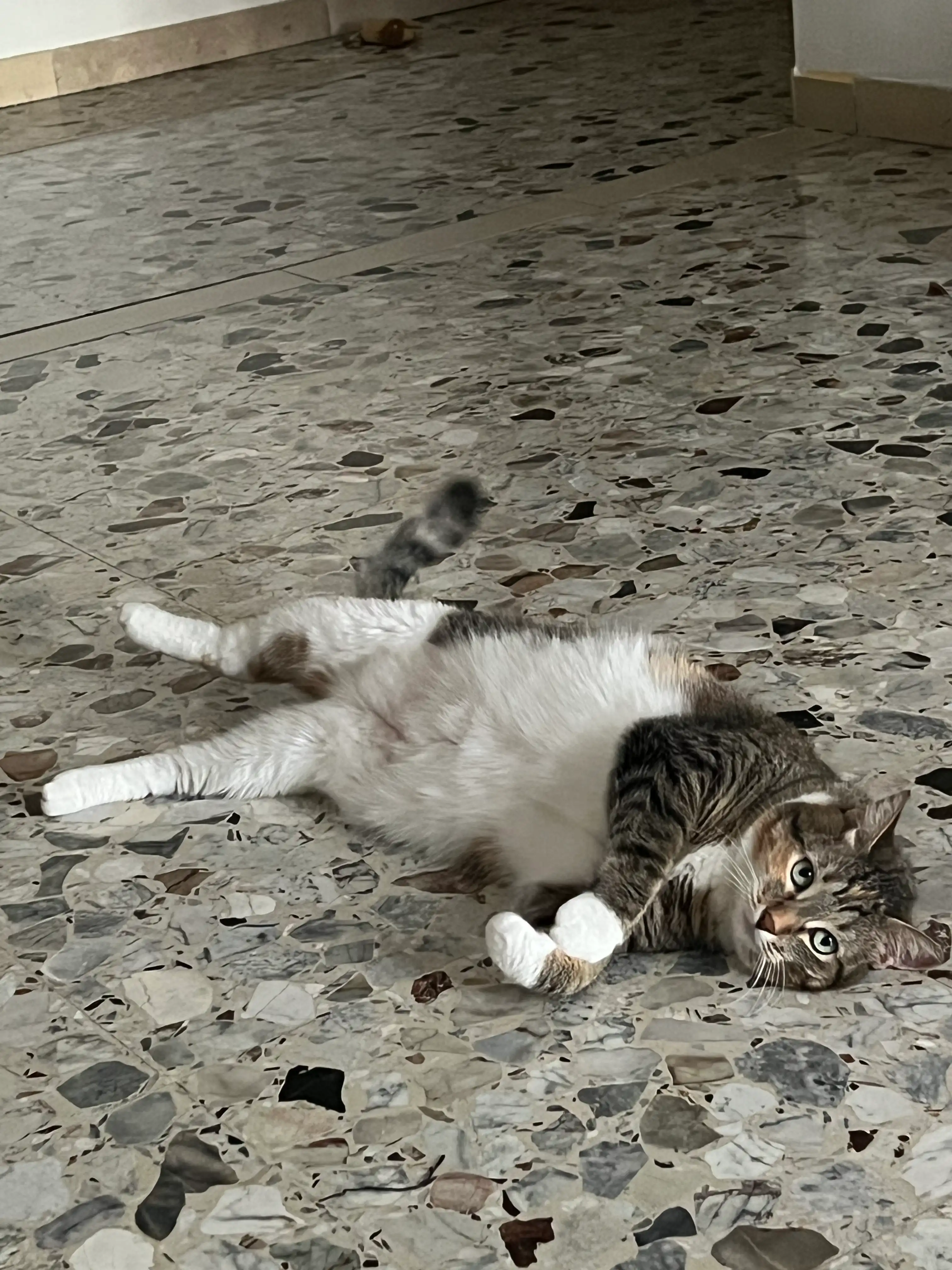 image-18