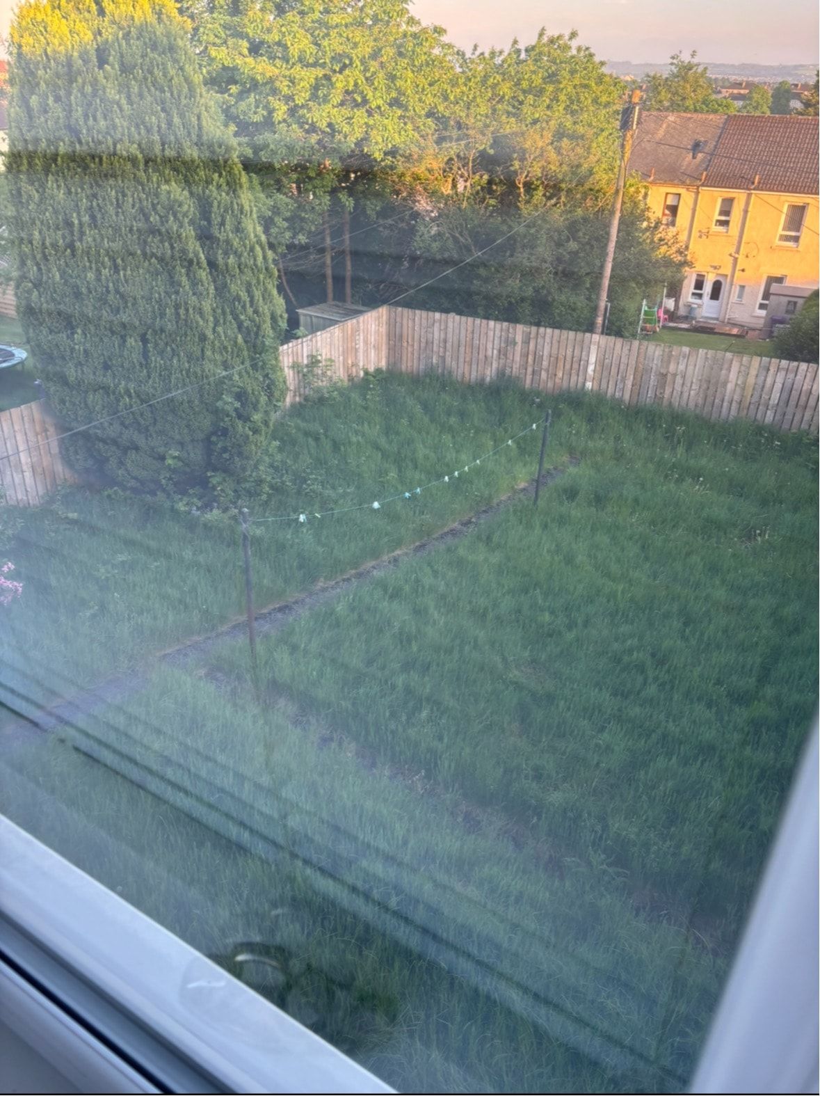 image-6