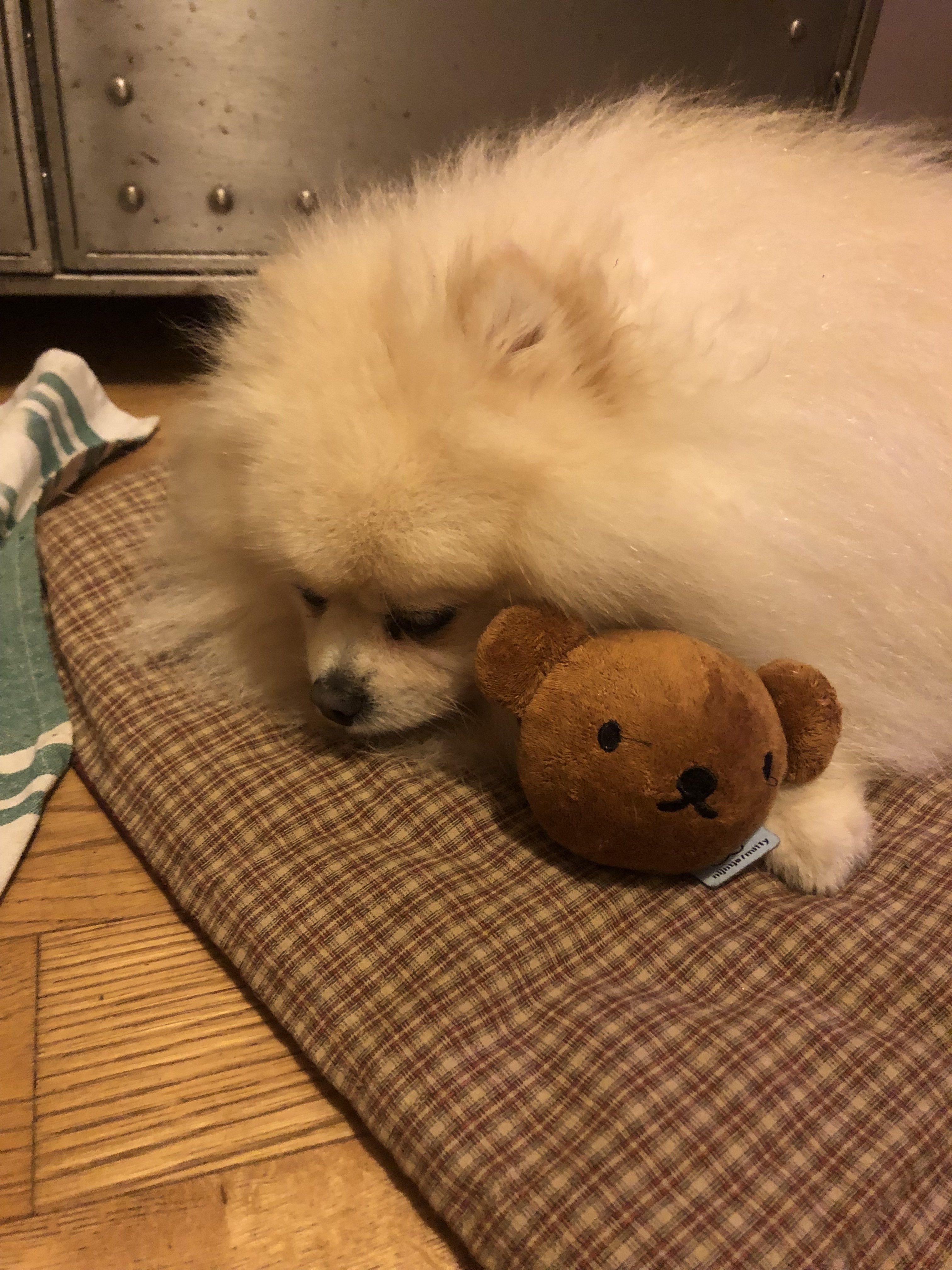 image-8