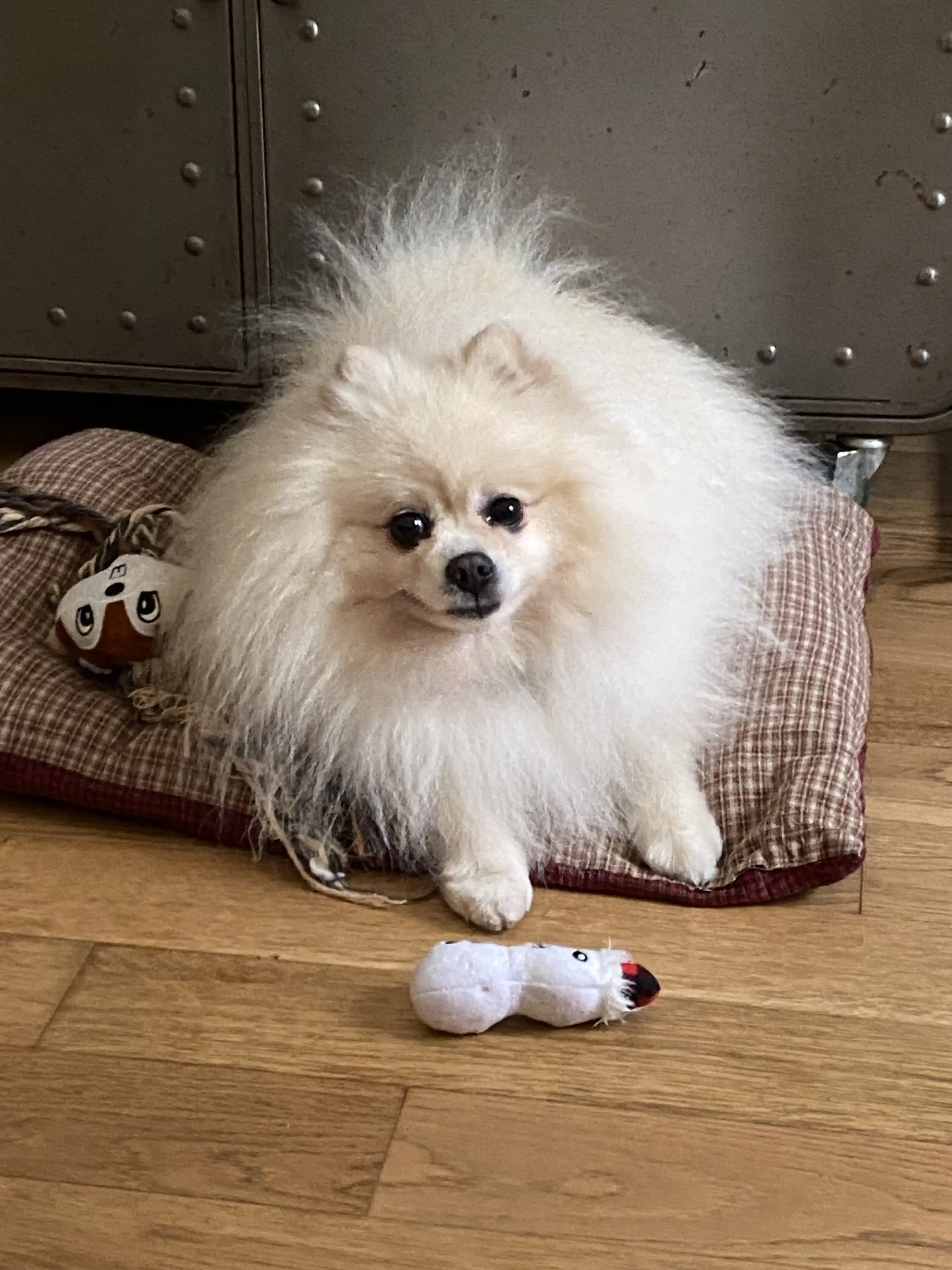 image-9