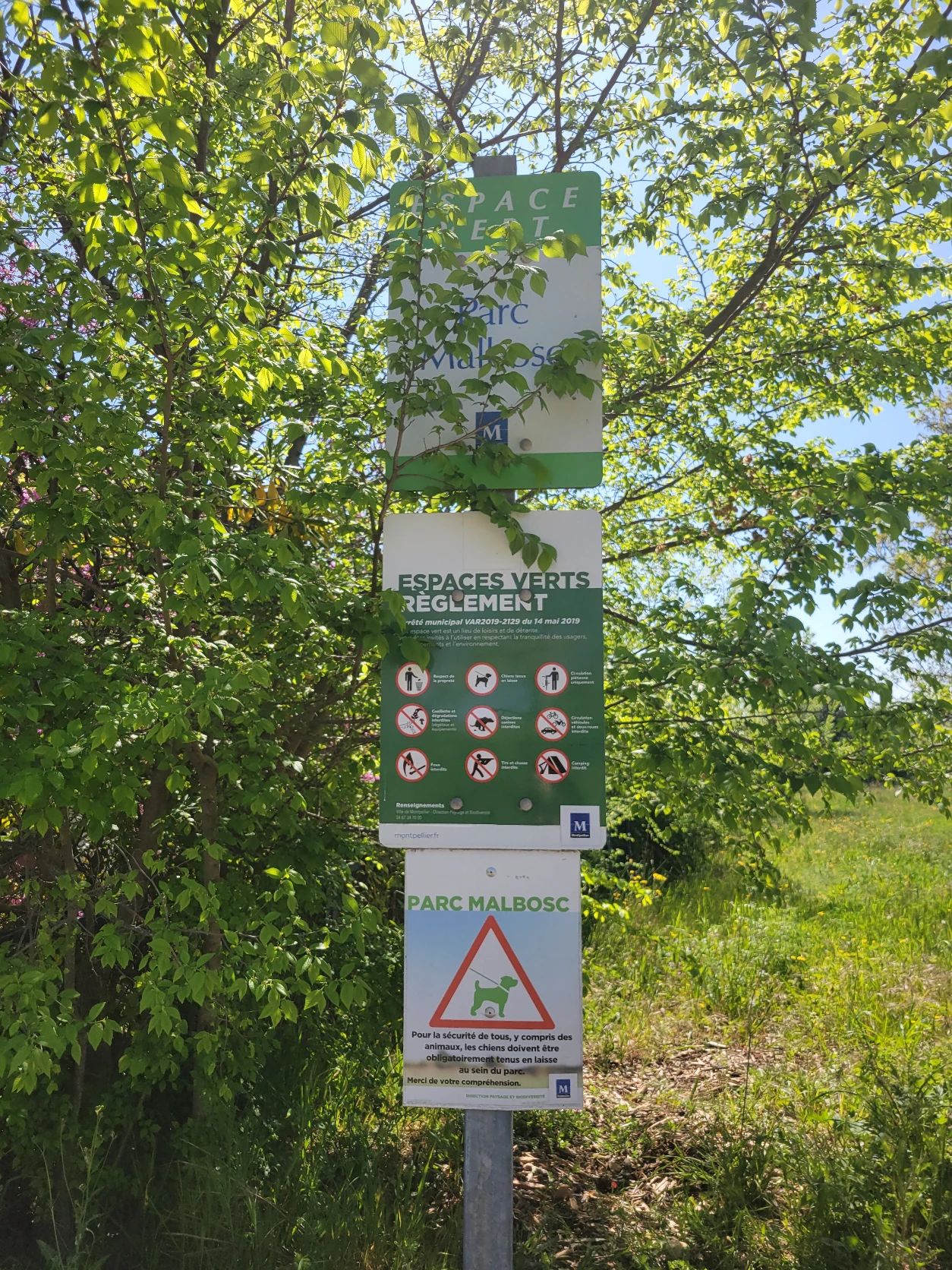 image-19