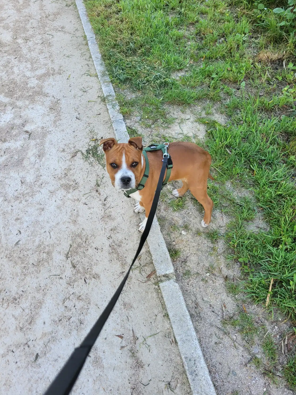 image-8