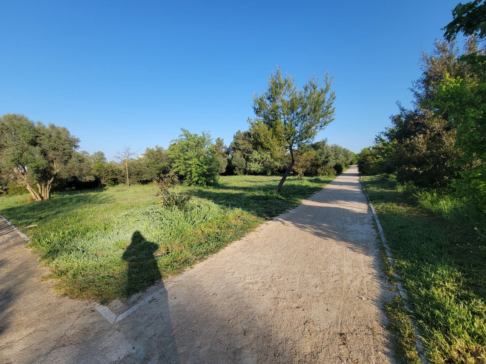 image-14