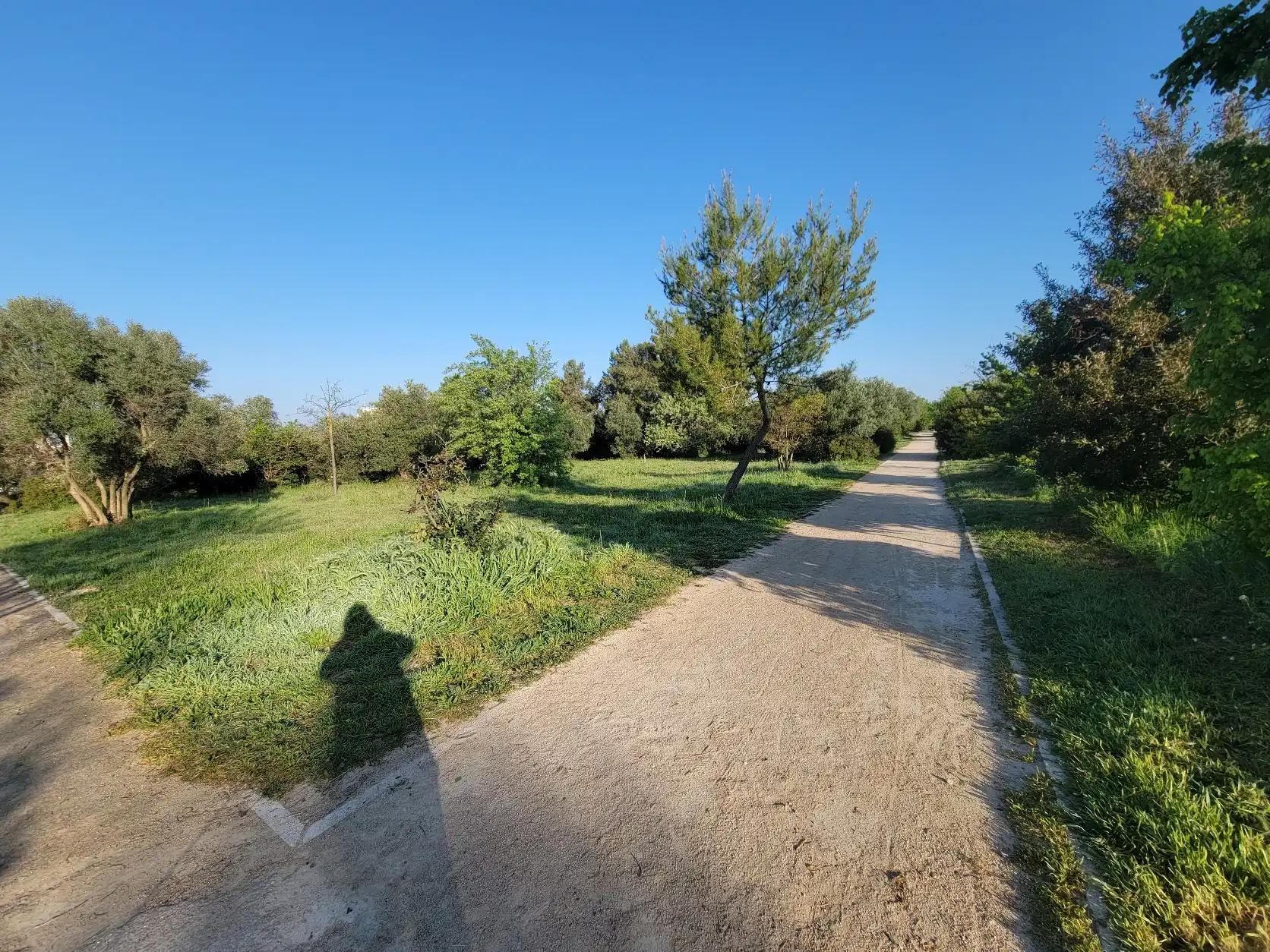 image-14