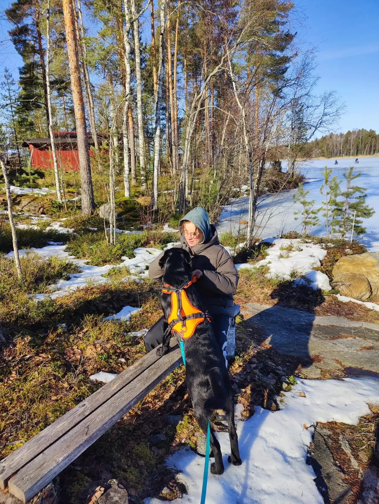 image-9