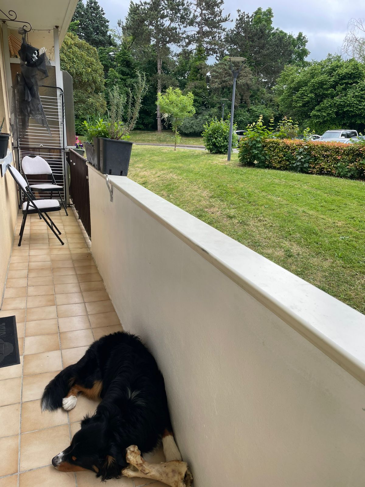 image-16