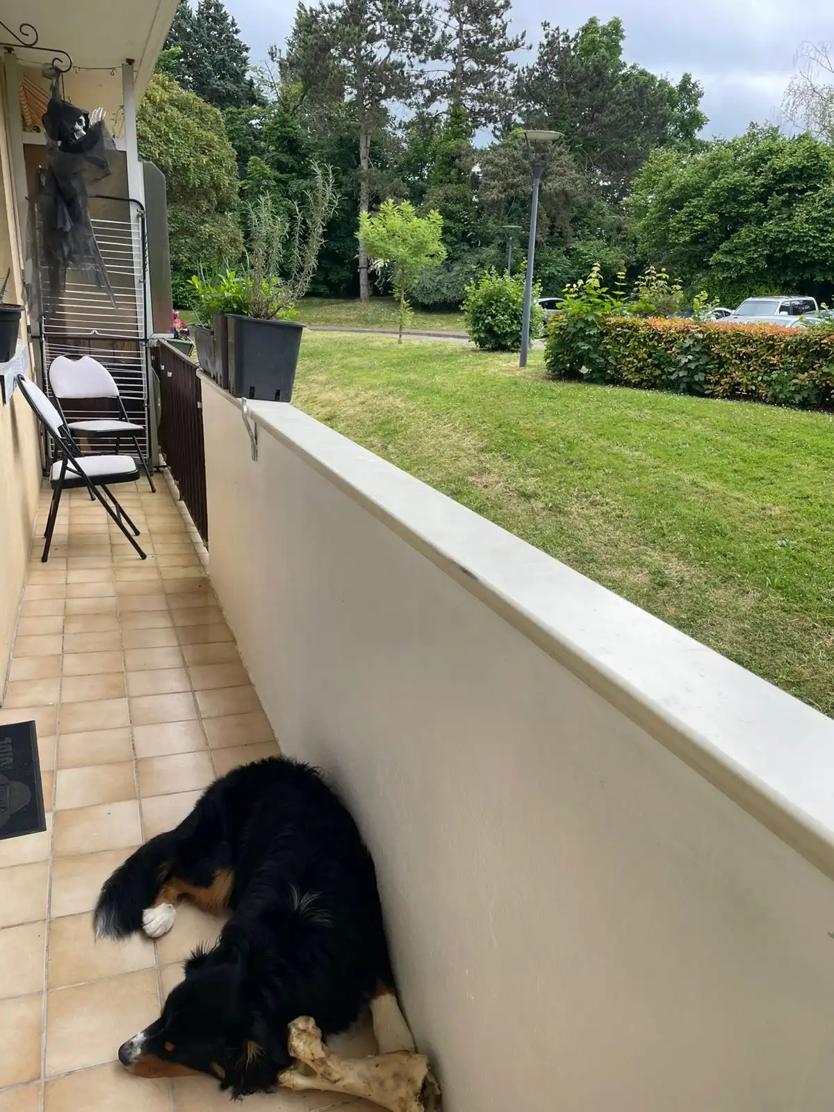 image-16