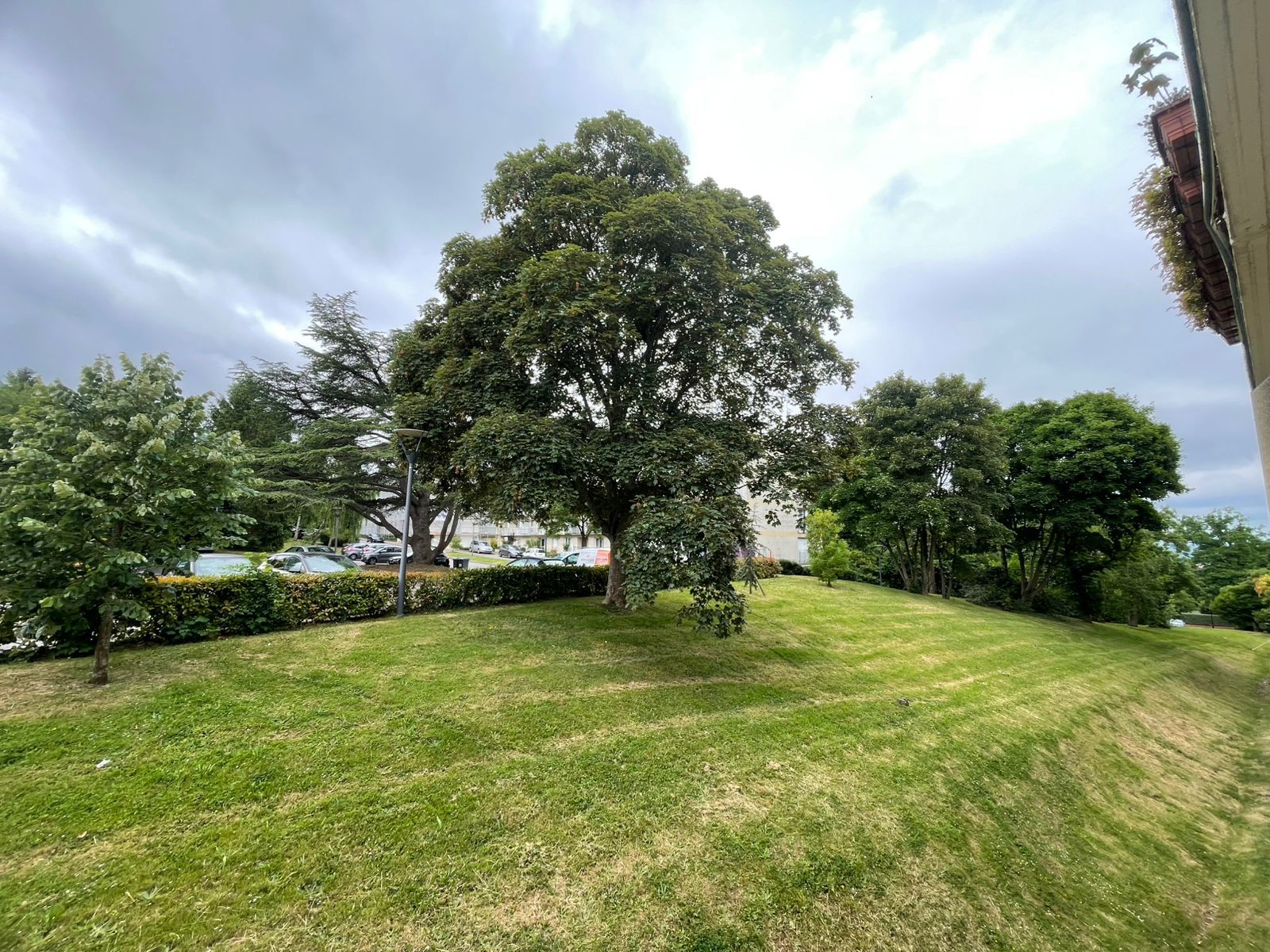 image-19