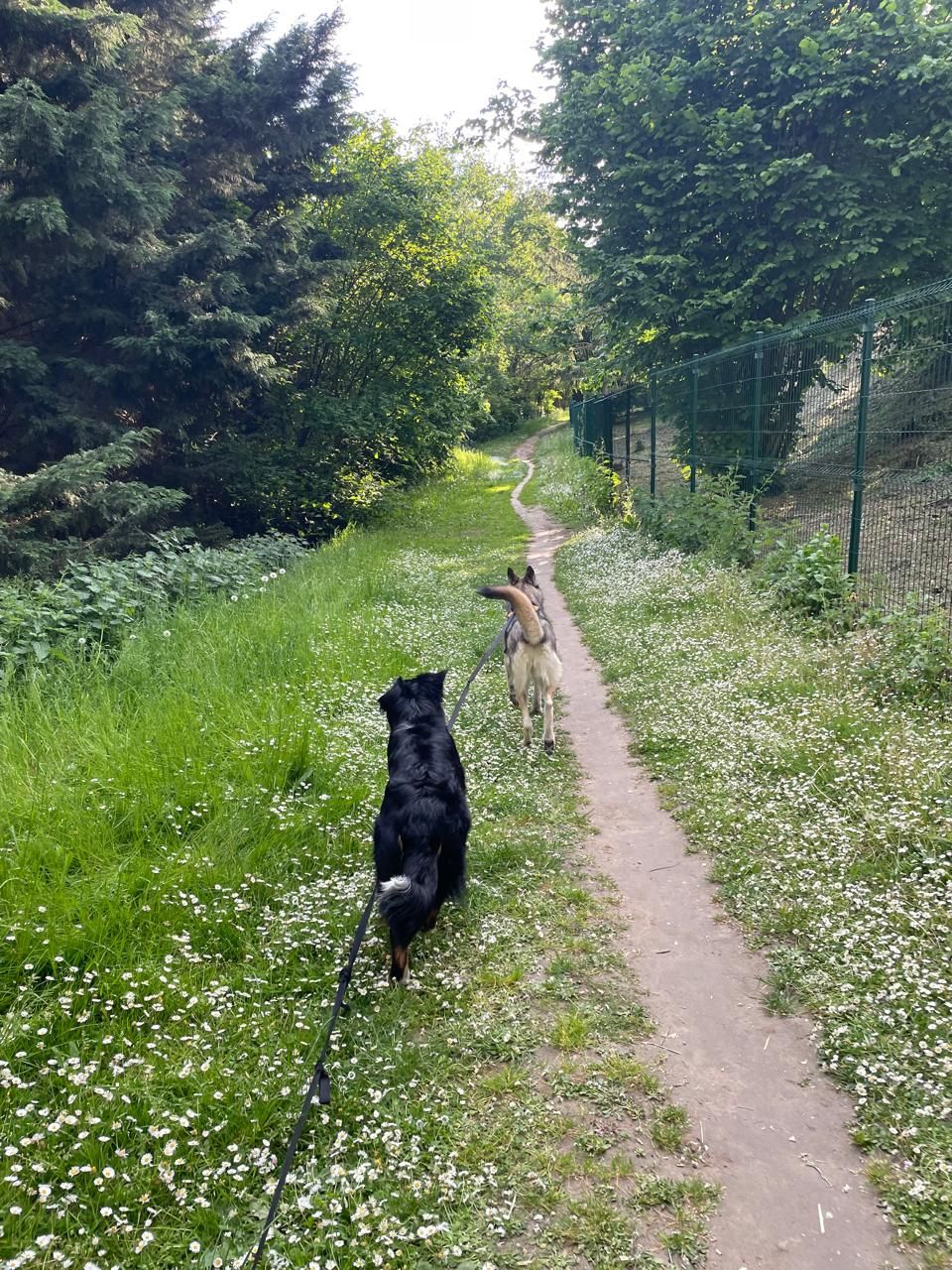 image-20