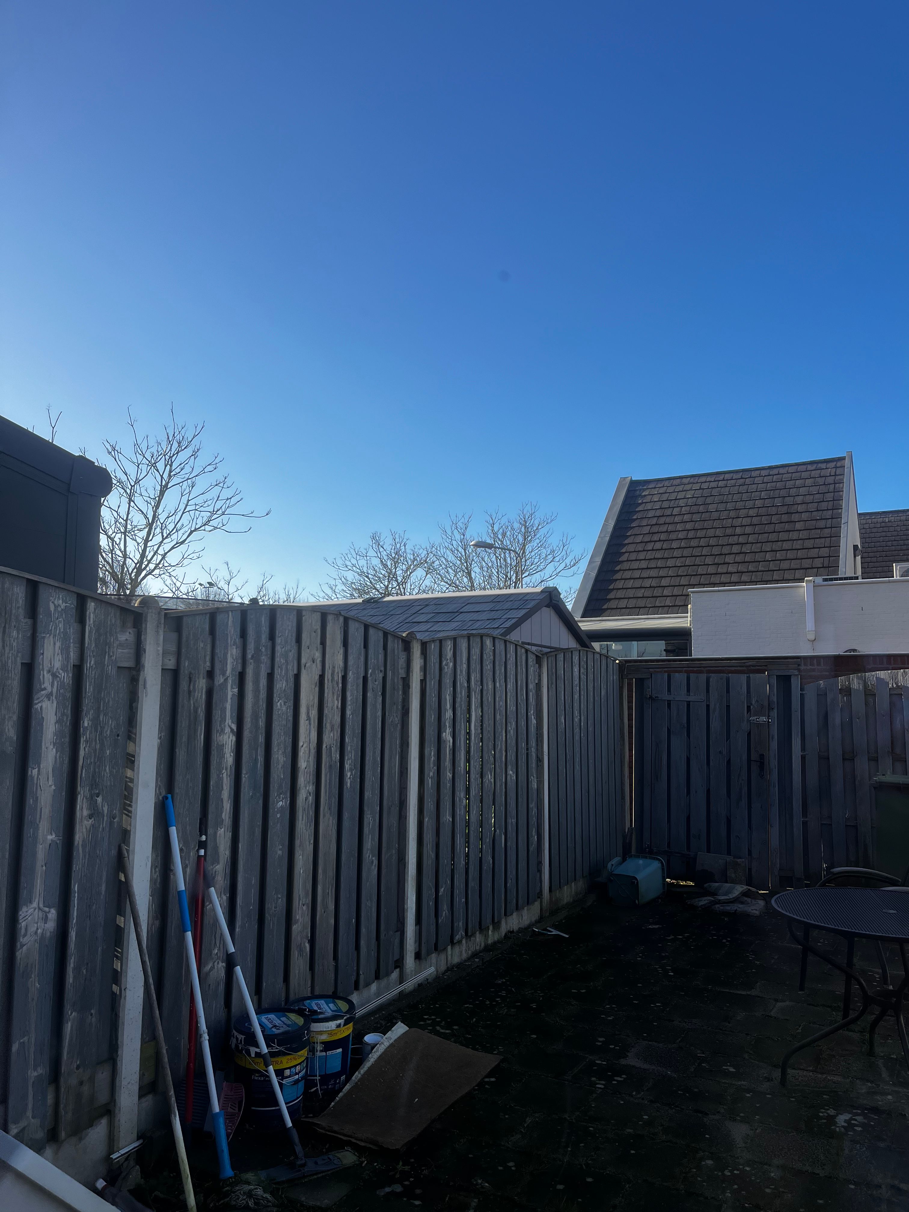 image-19