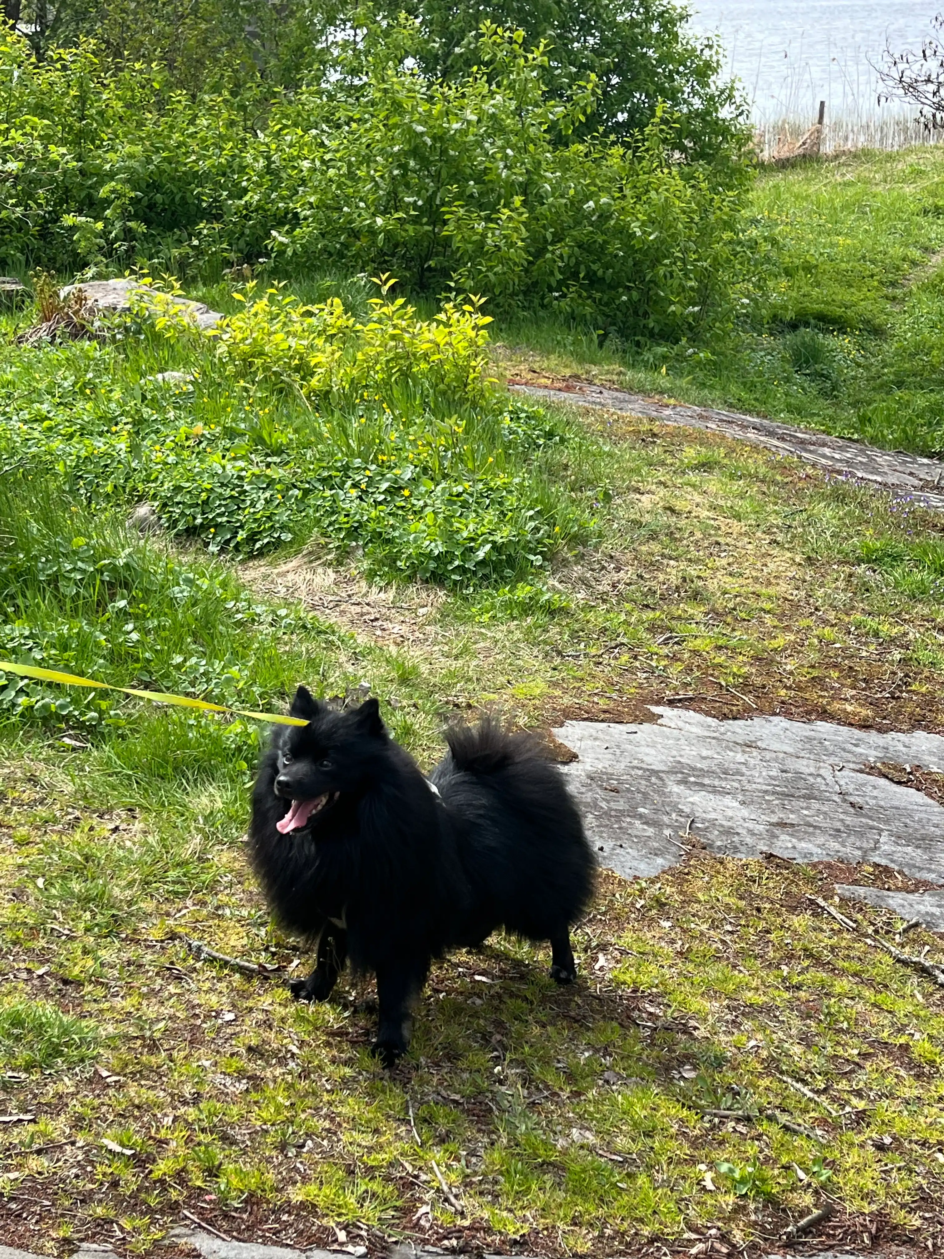 image-9