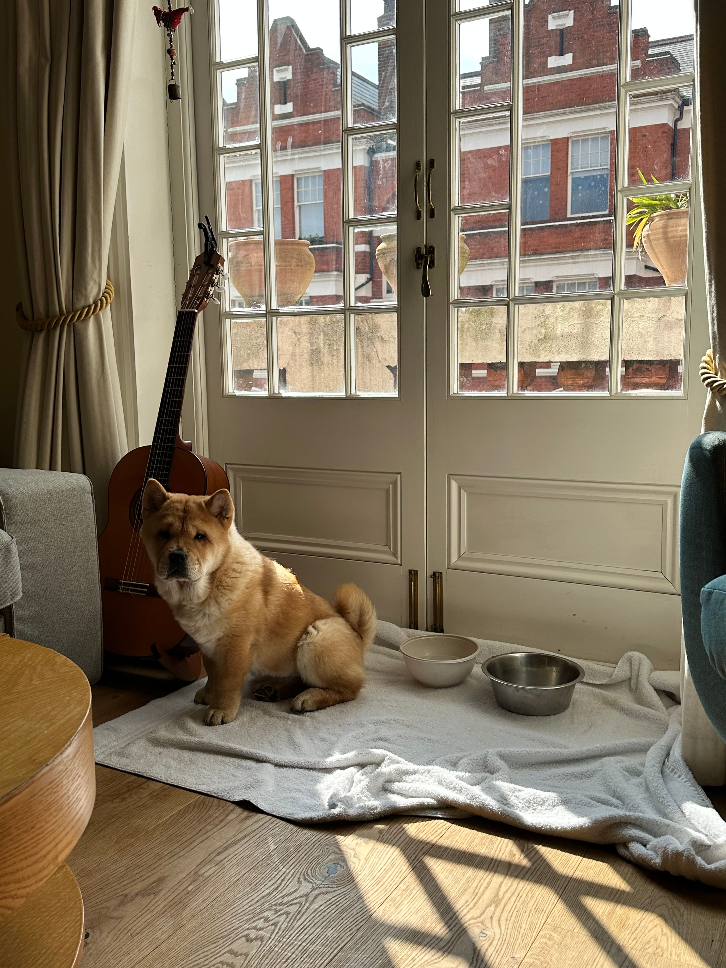 image-16