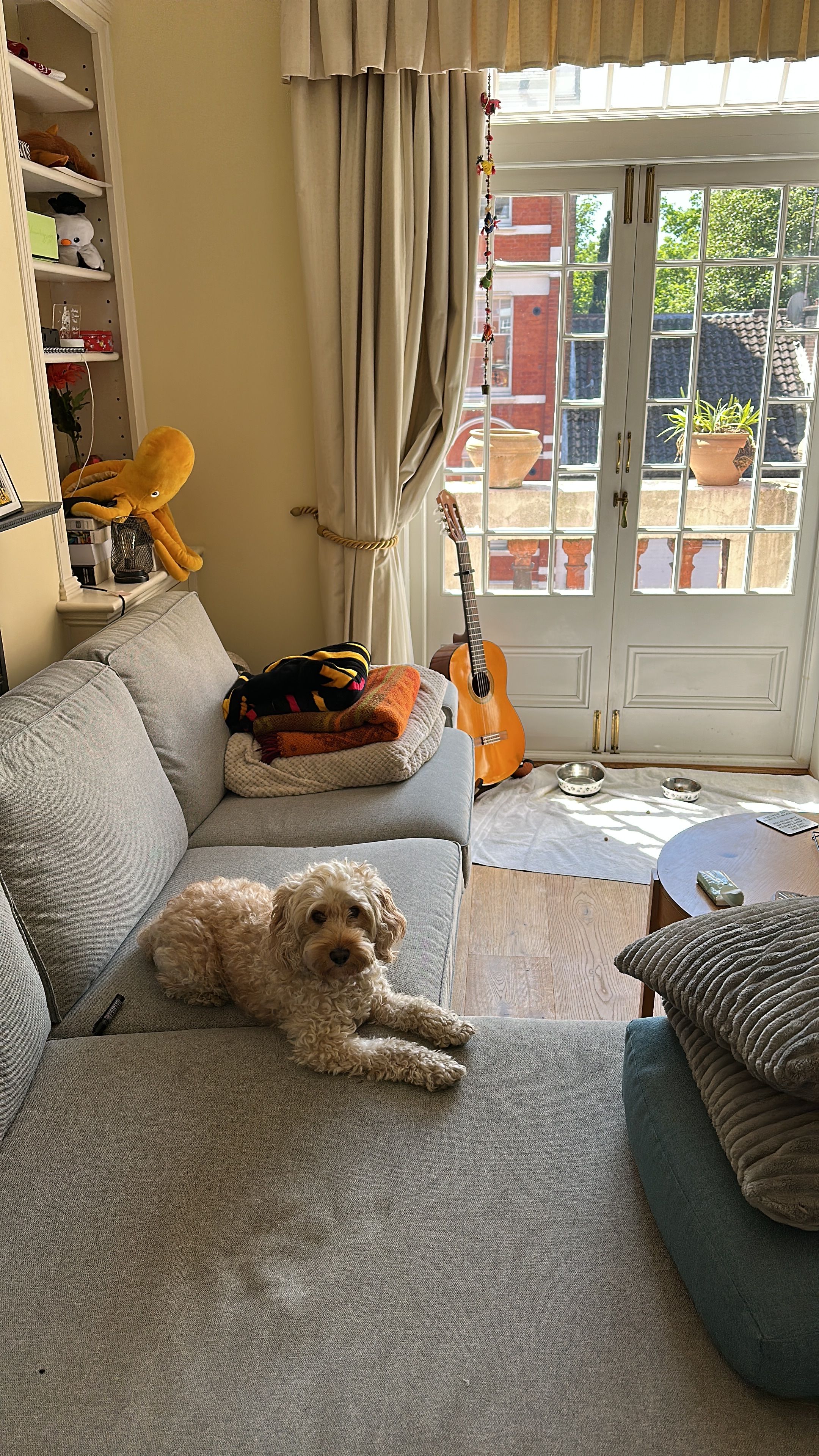 image-14