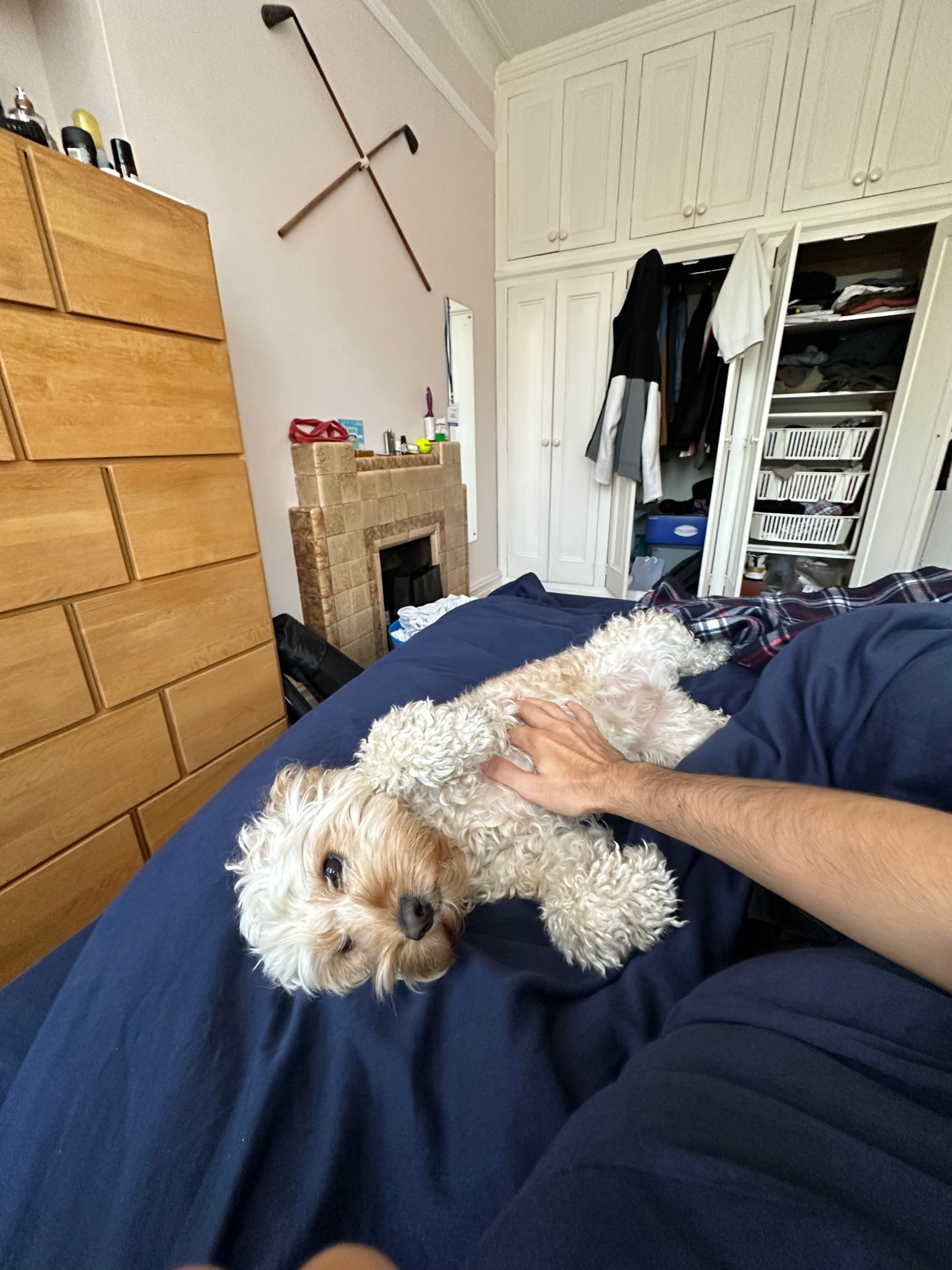 image-13