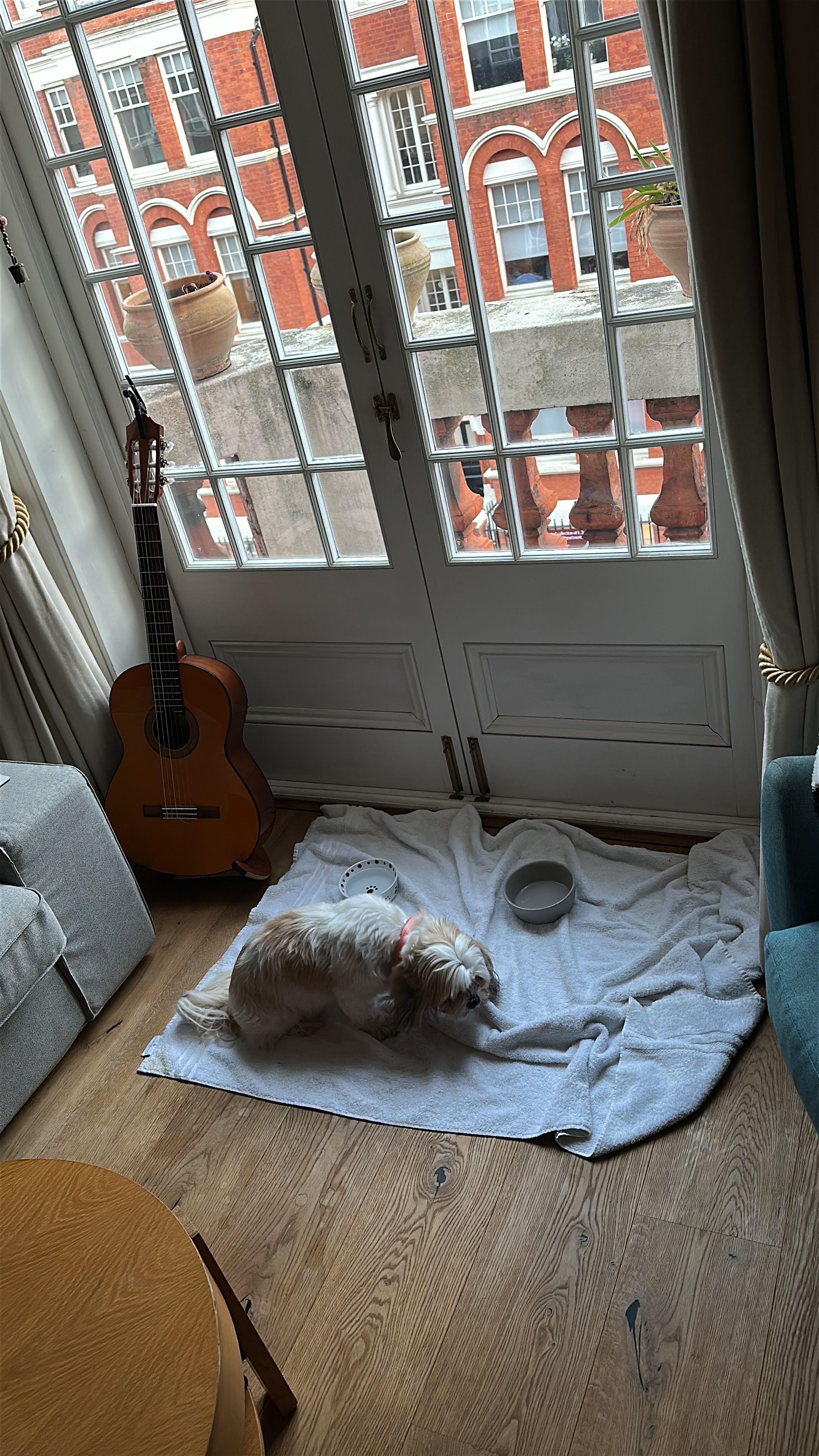 image-19