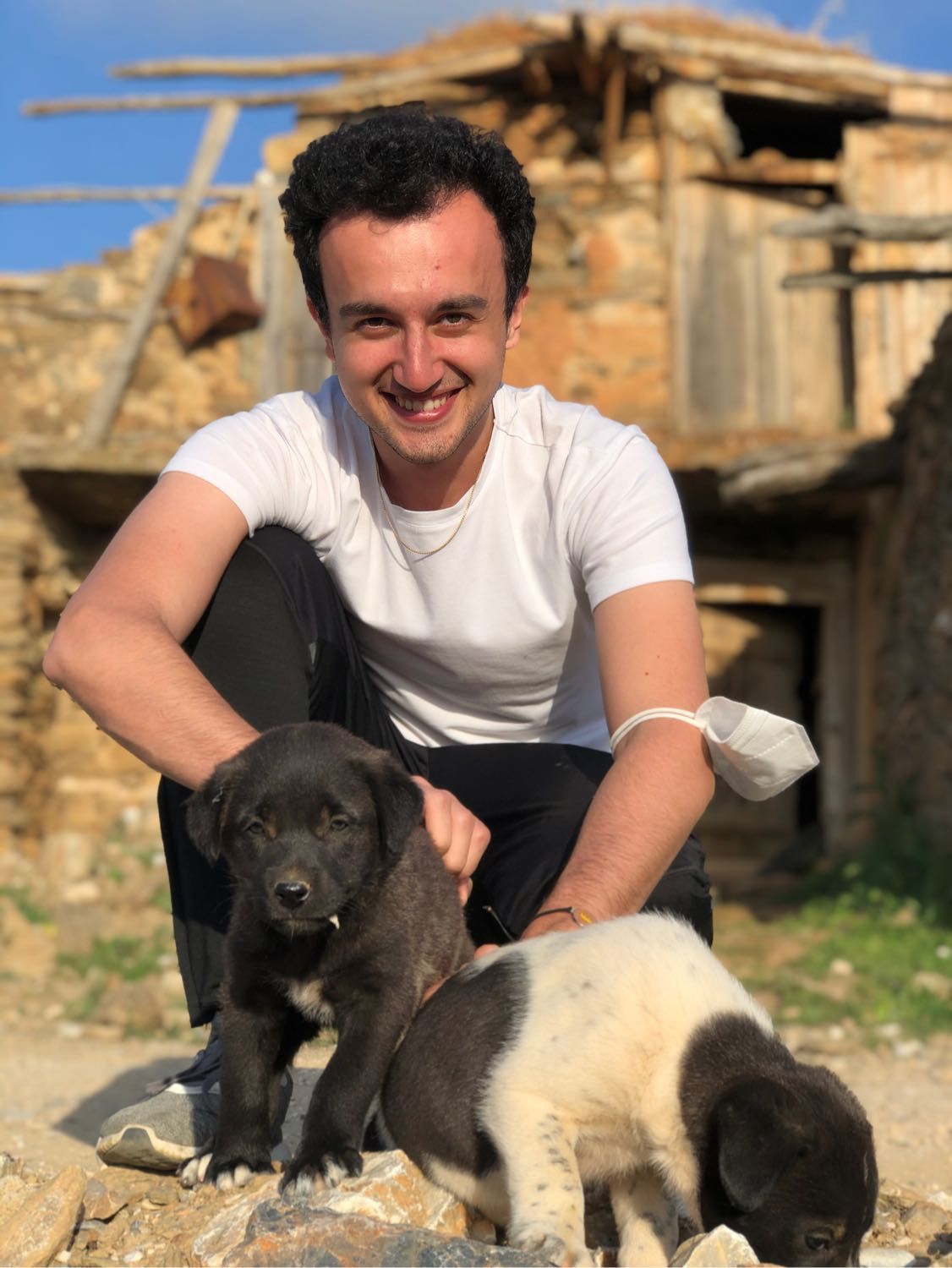 image-6
