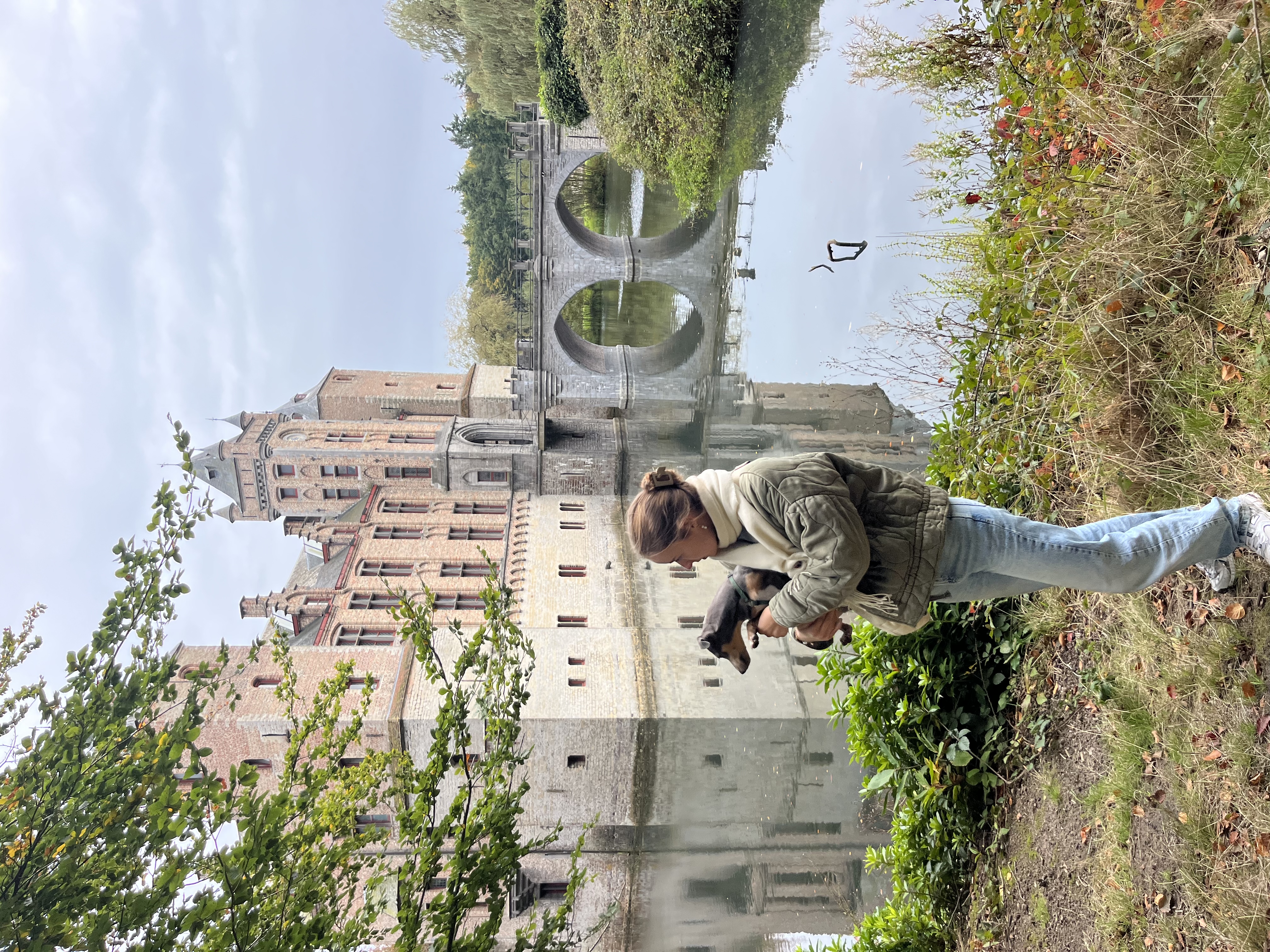 image-6