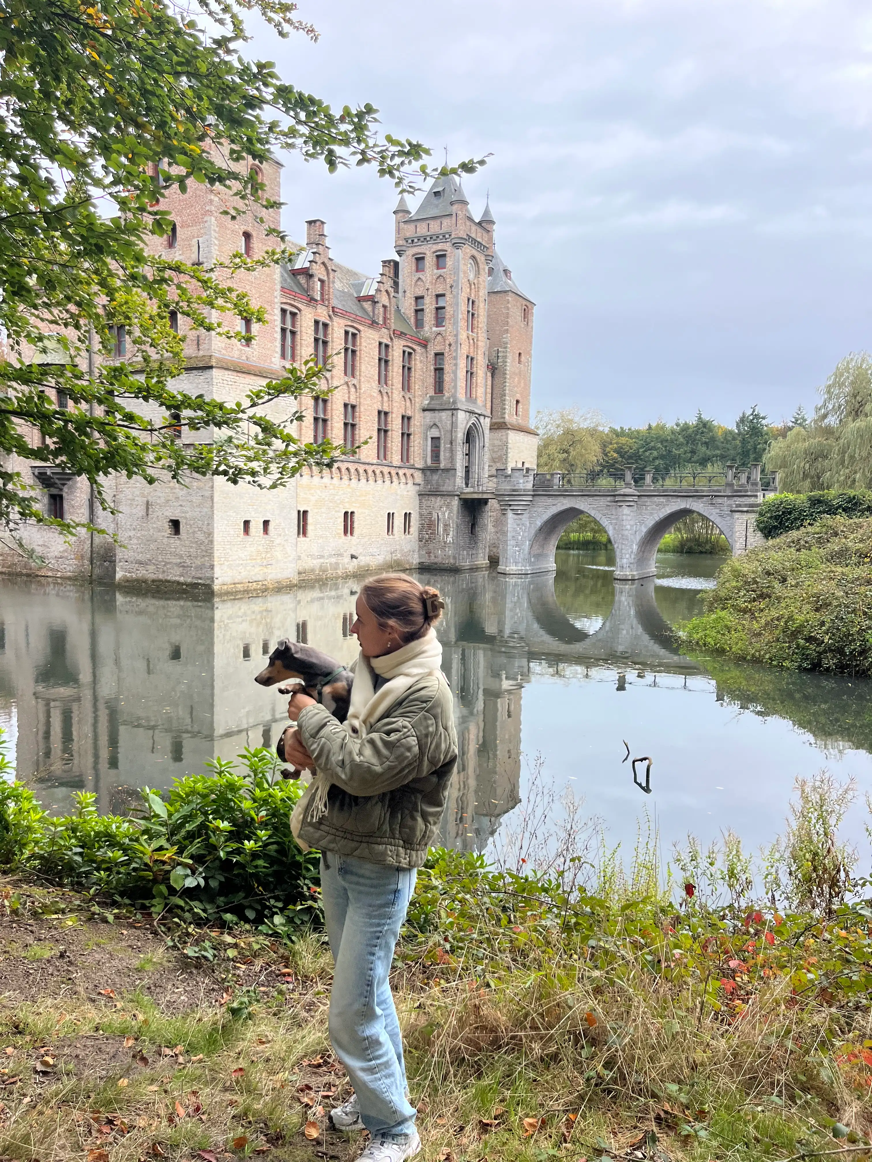 image-6