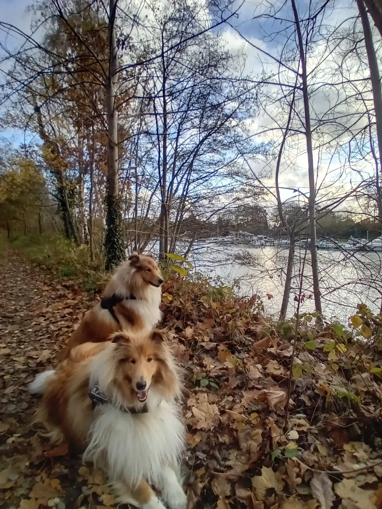 image-8