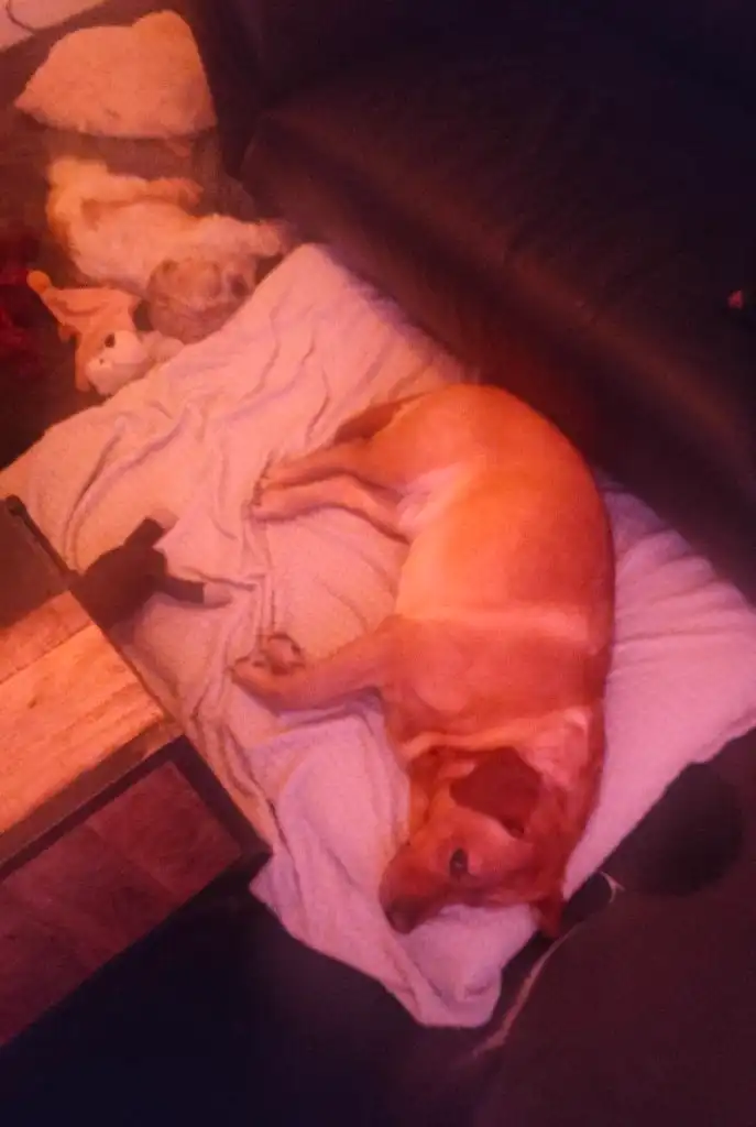 image-41