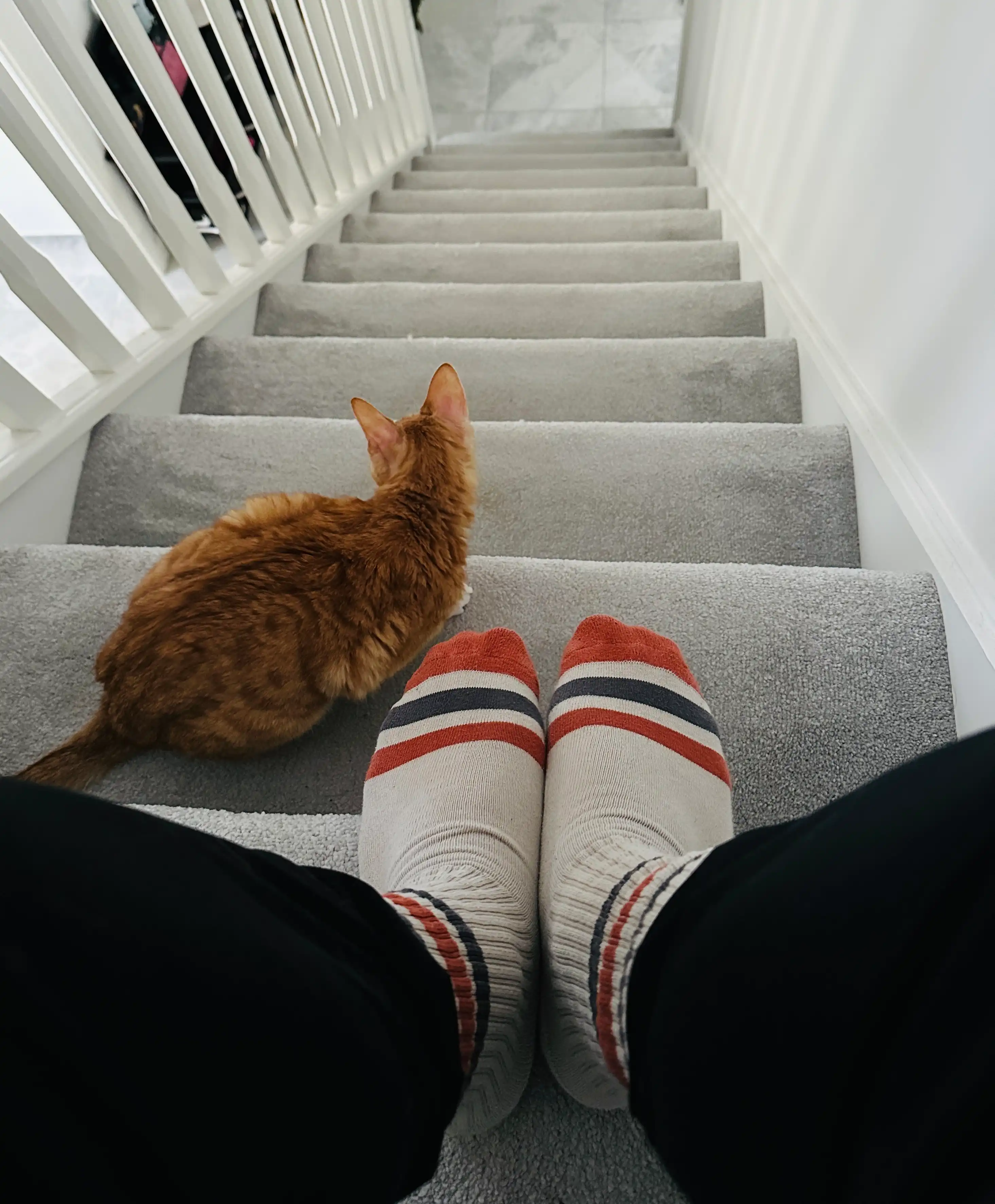 image-8