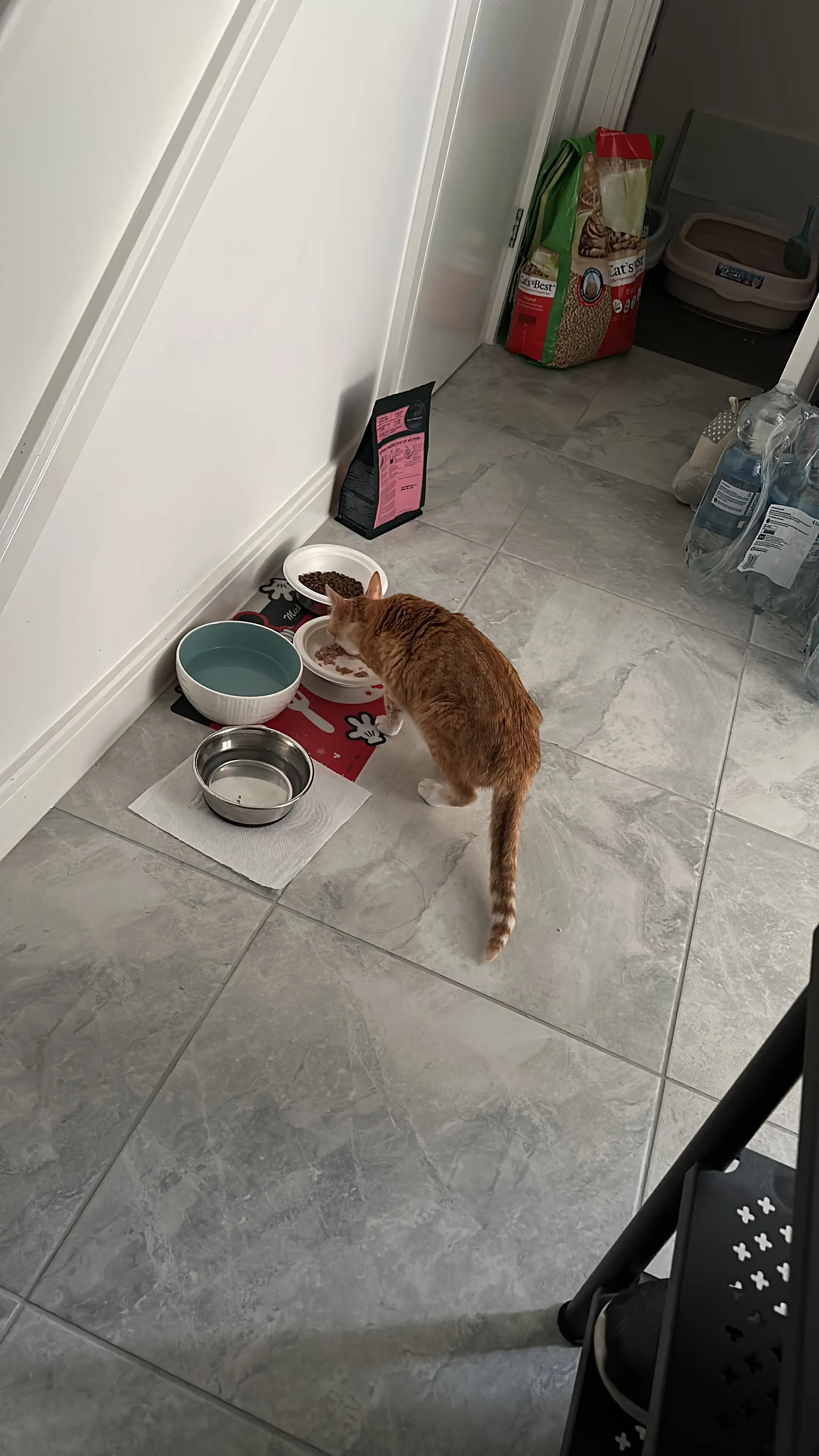 image-4