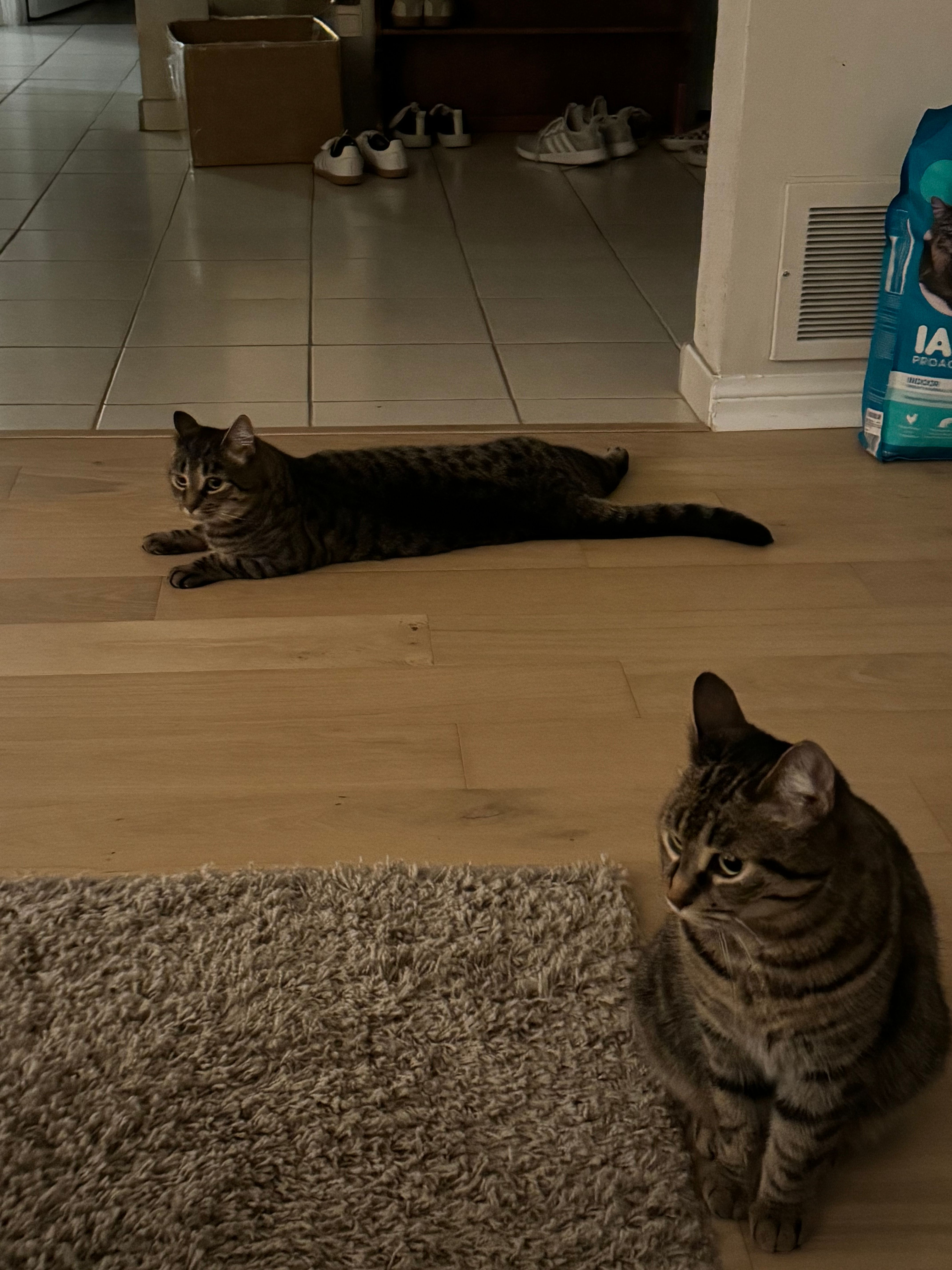 image-8