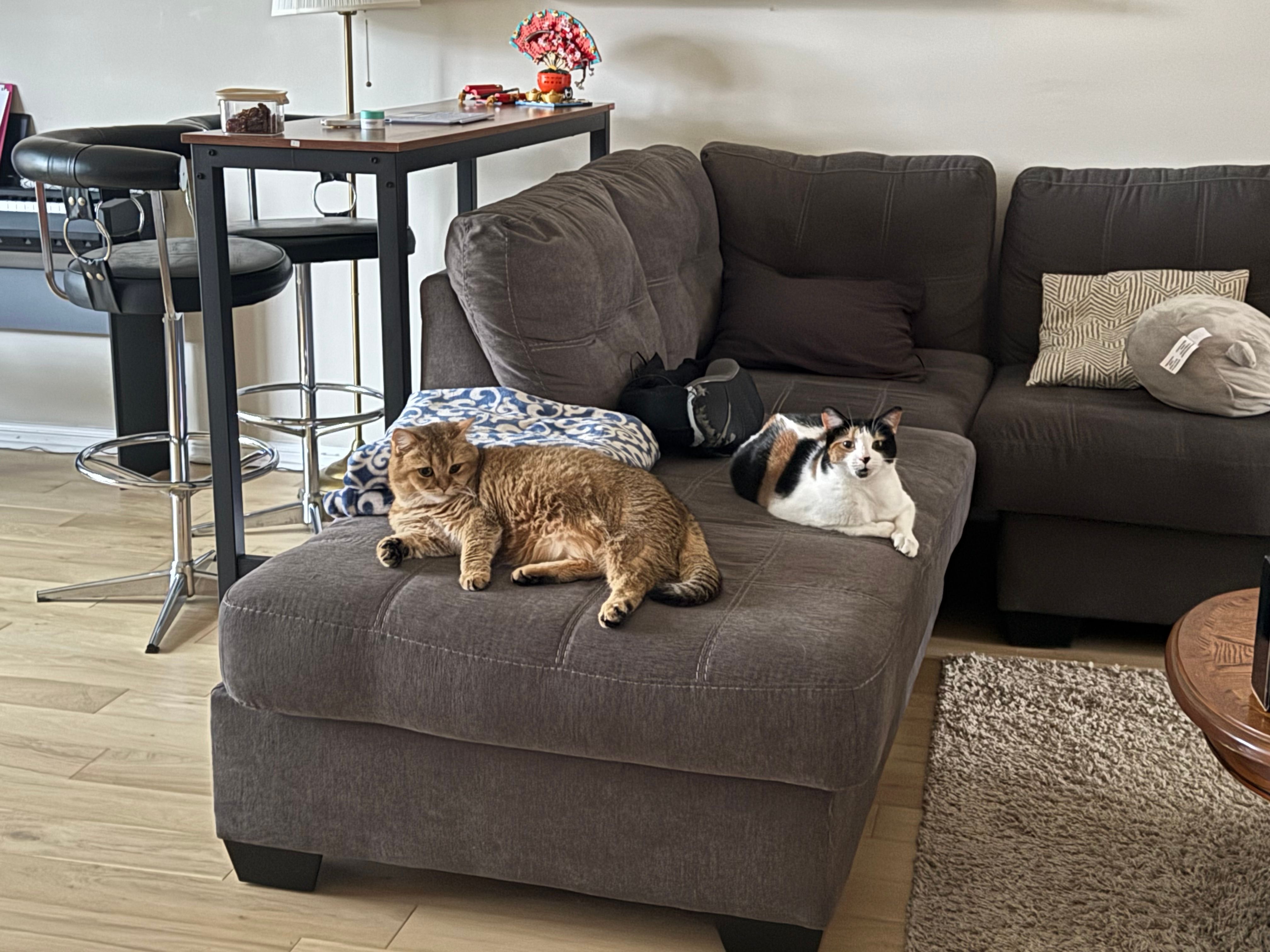 image-19