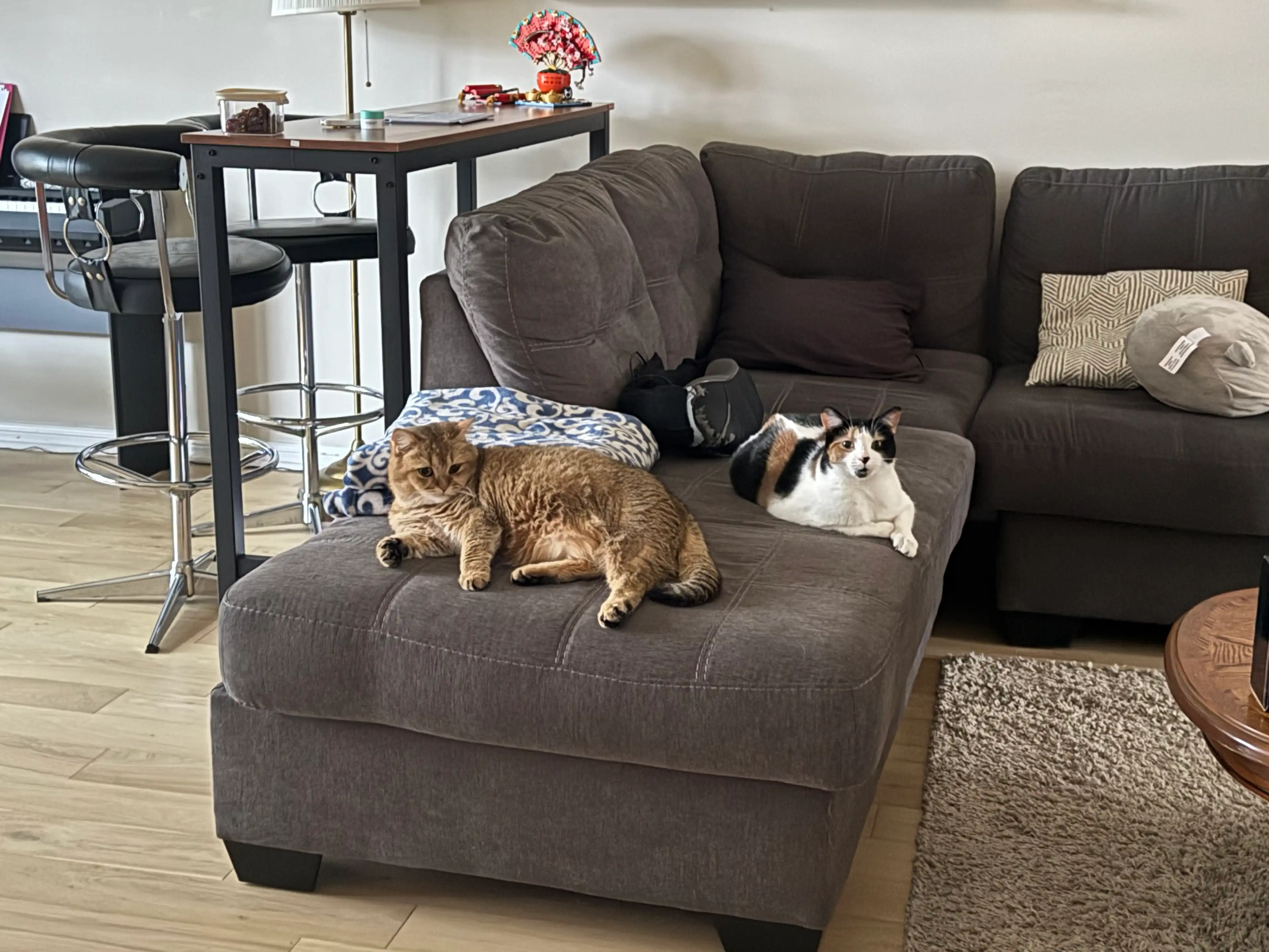 image-19