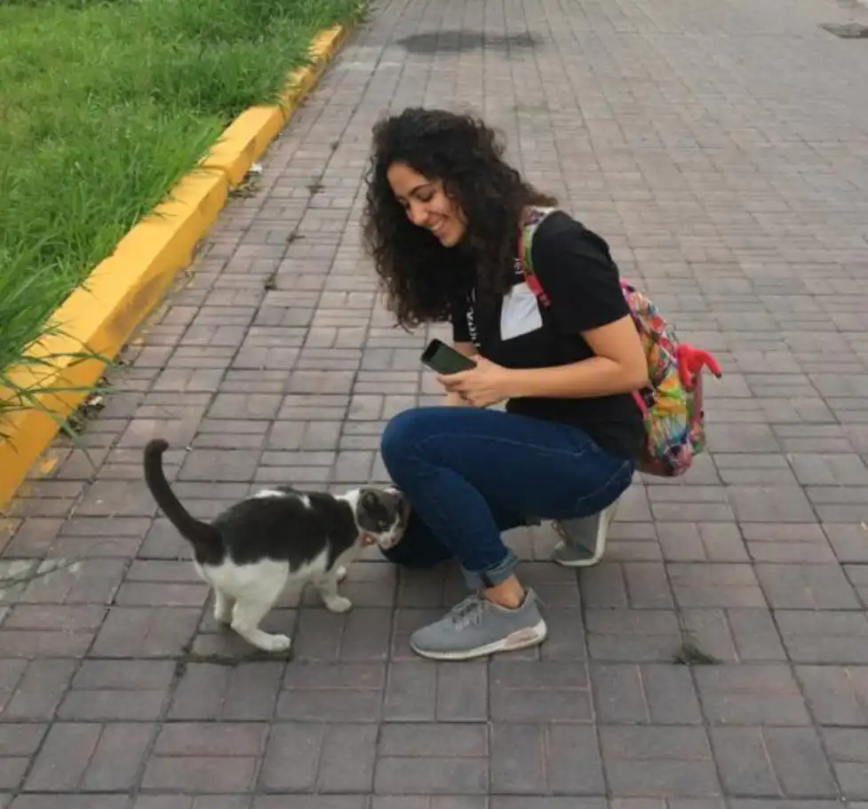 image-6