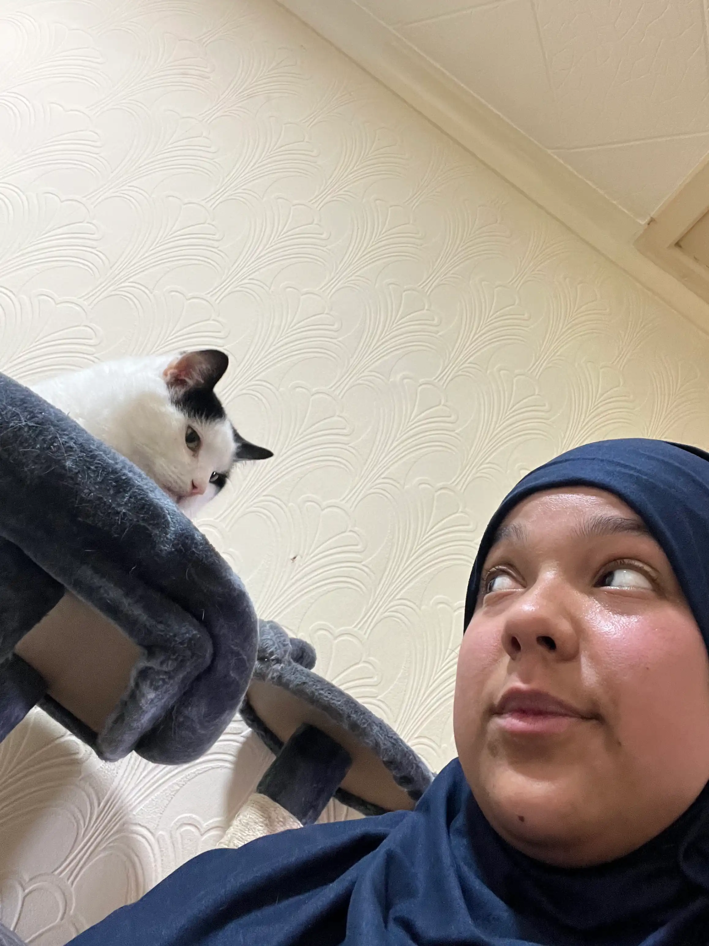 image-26