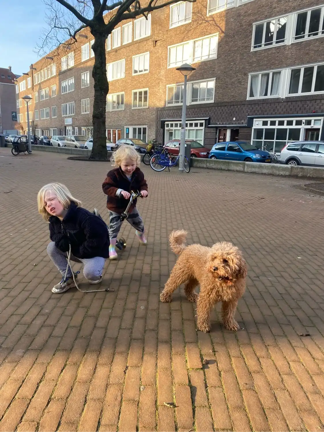 image-11