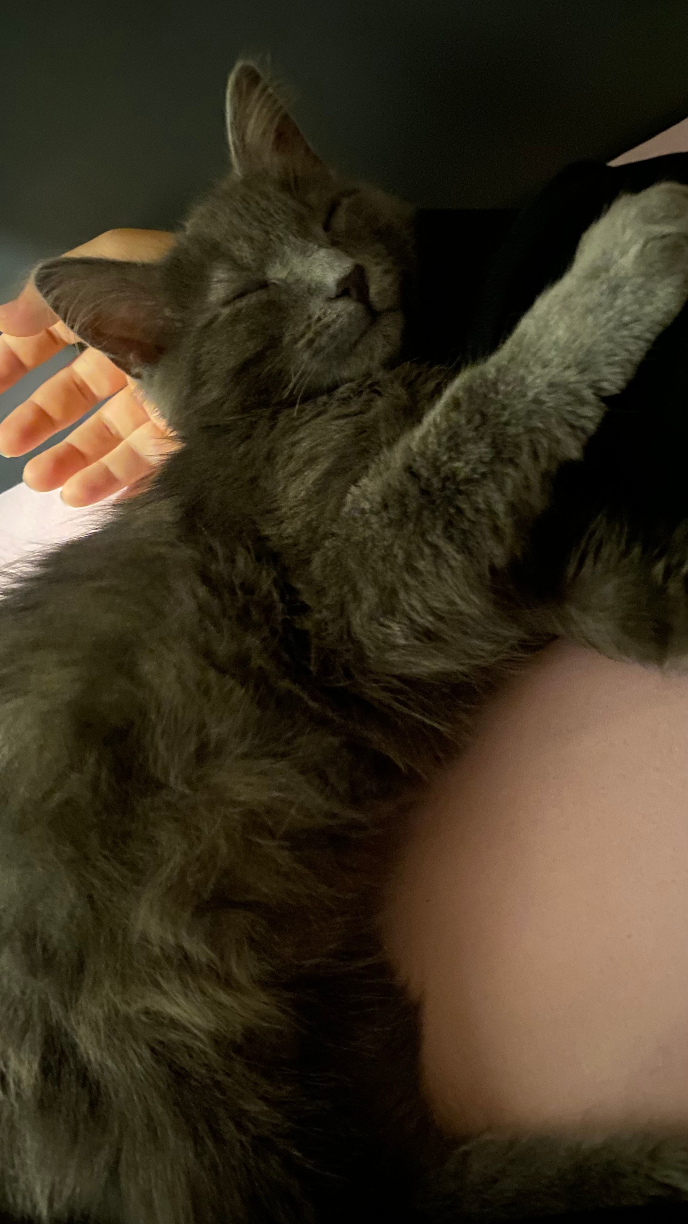 image-6