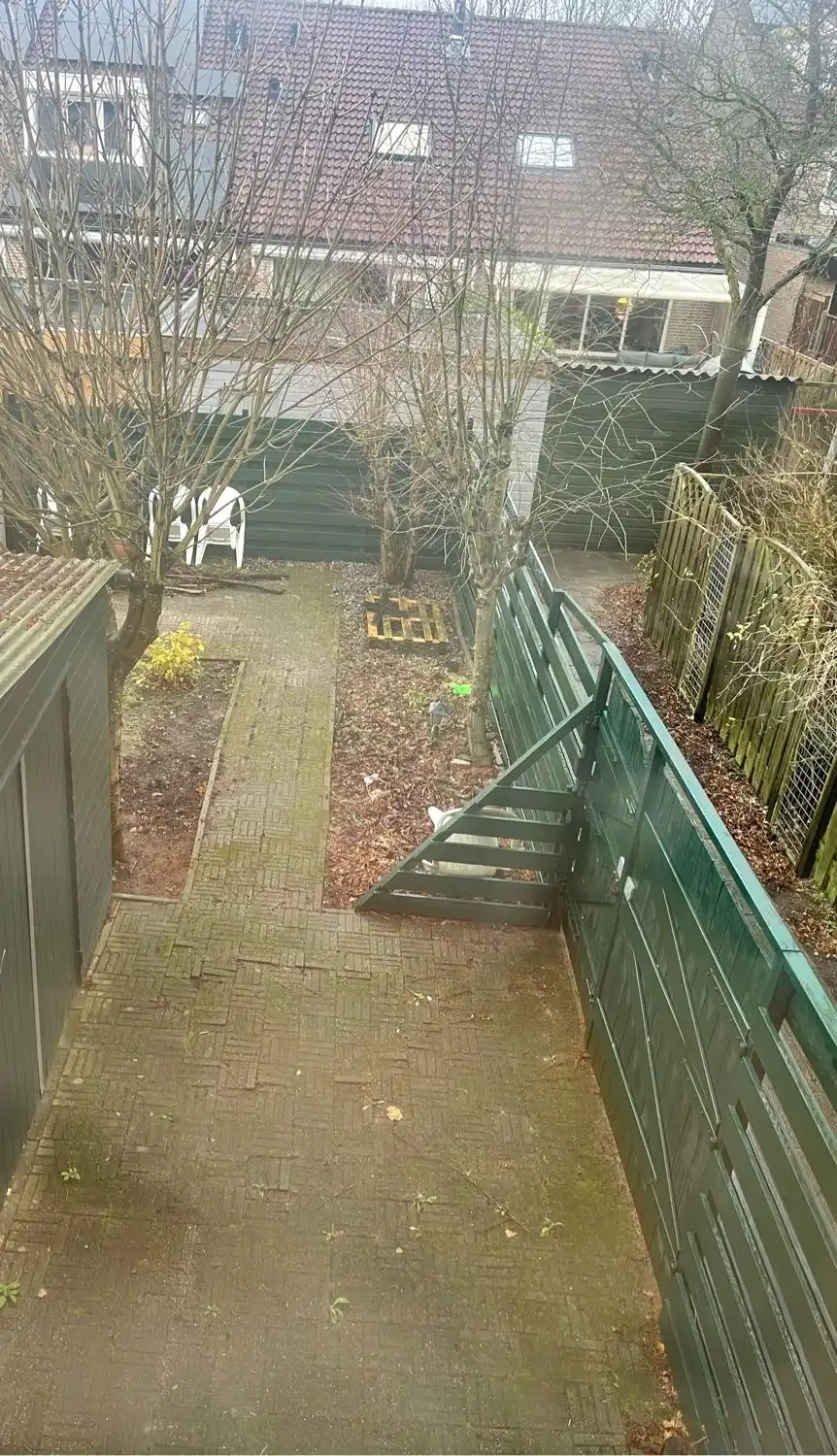 image-5