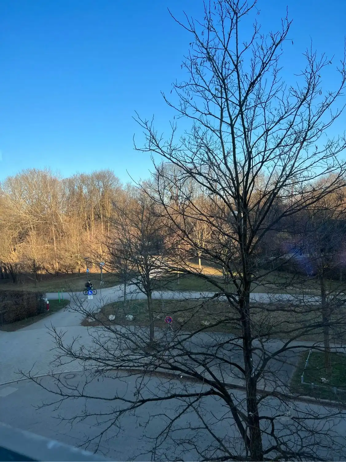 image-9